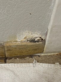 Hole in the bathroom wall