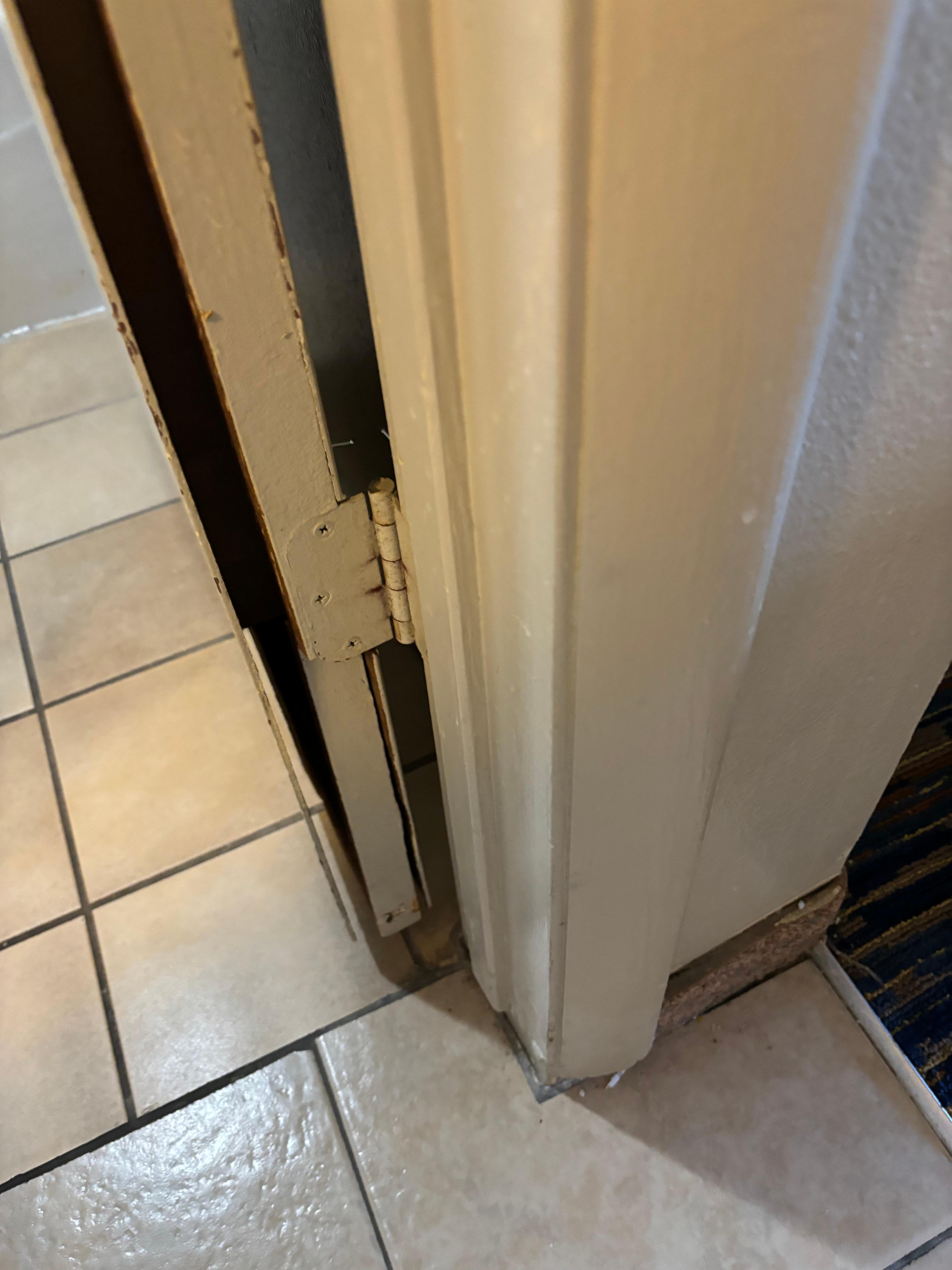 Broken, separated door. Lower hinge was rotted off the wood