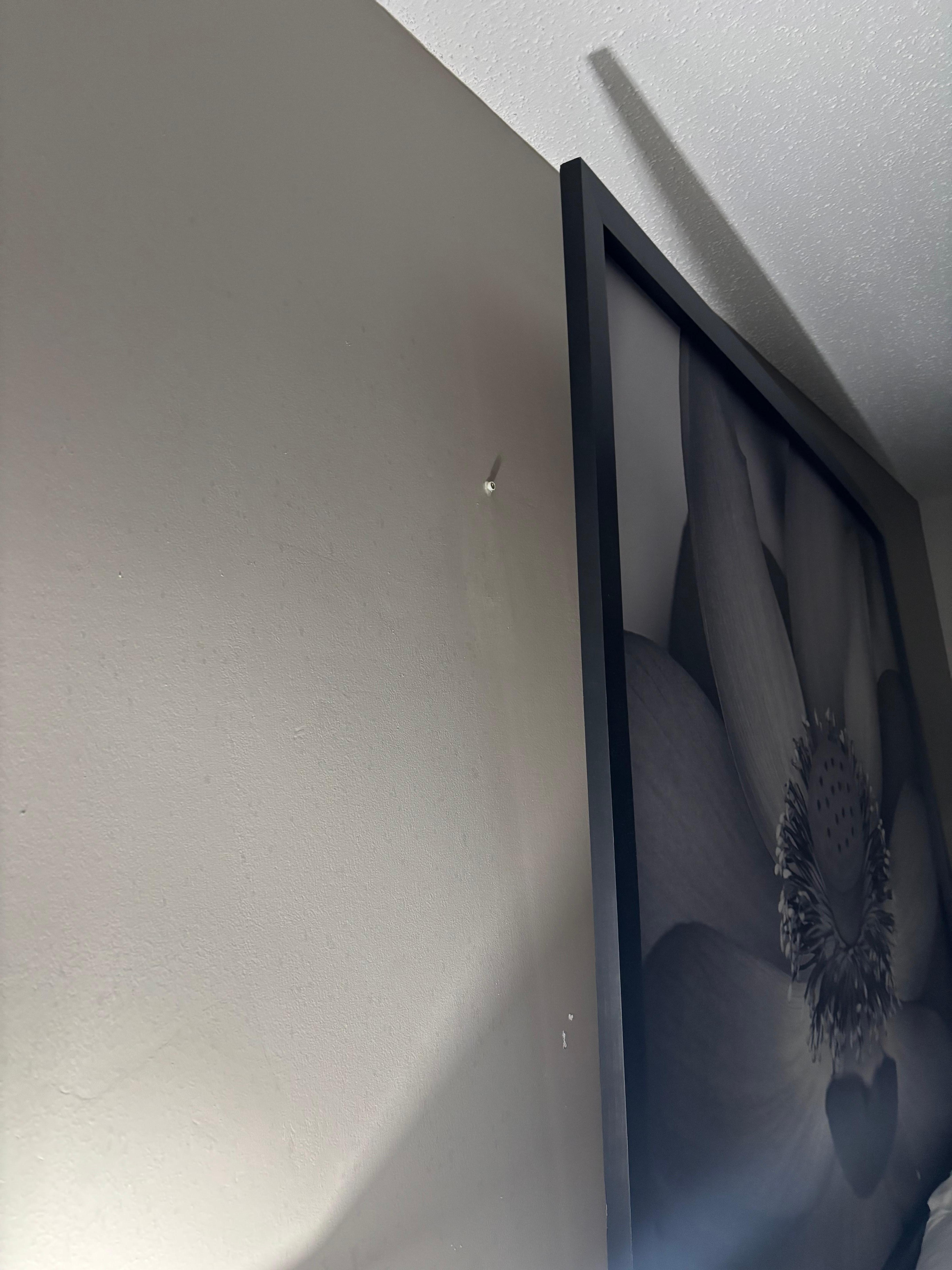 Picture hanging over bed 