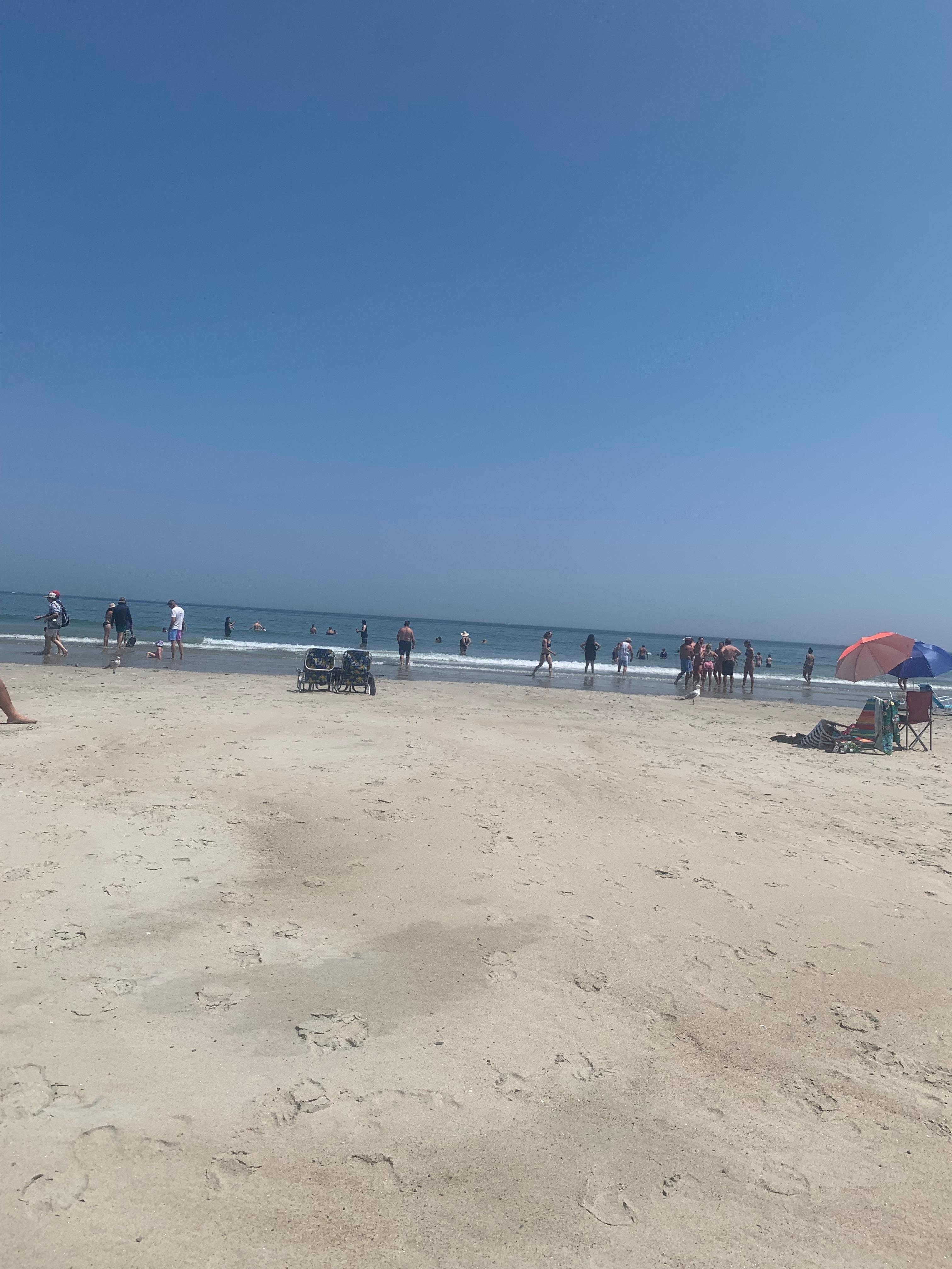 Beautiful beach day!