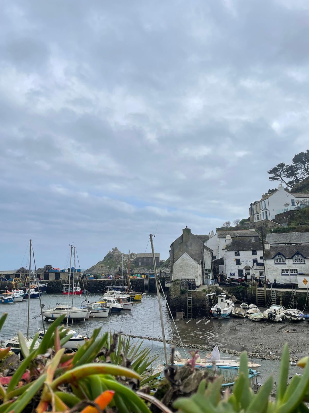 Polperro 