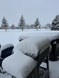 We also enjoyed seeing several deer in the backyard.