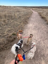 Daily walks in state park