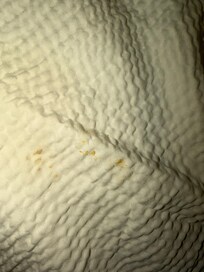 Dirty bedding, food in bed