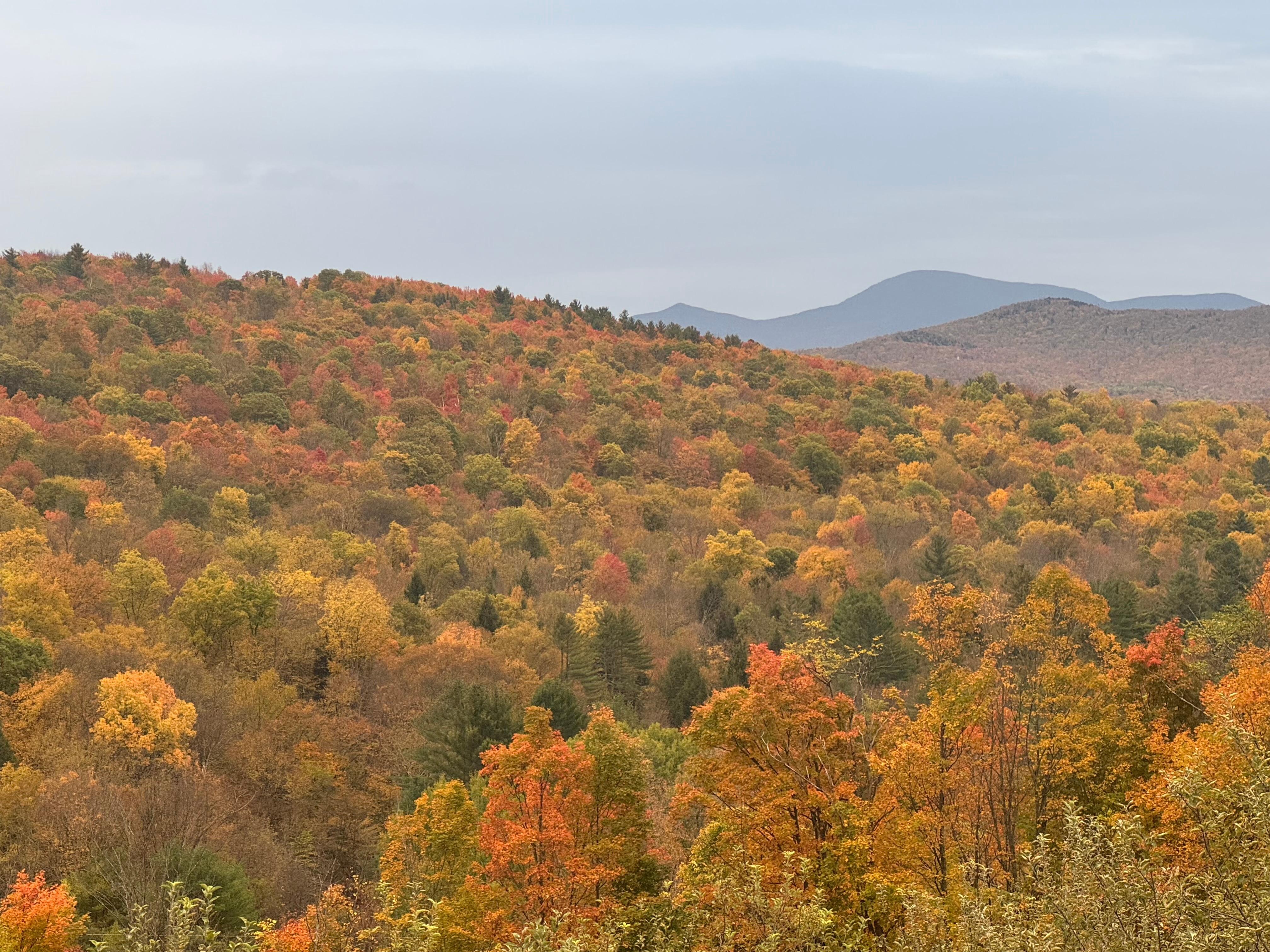 From our deck yesterday. 