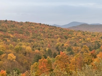 From our deck yesterday.
