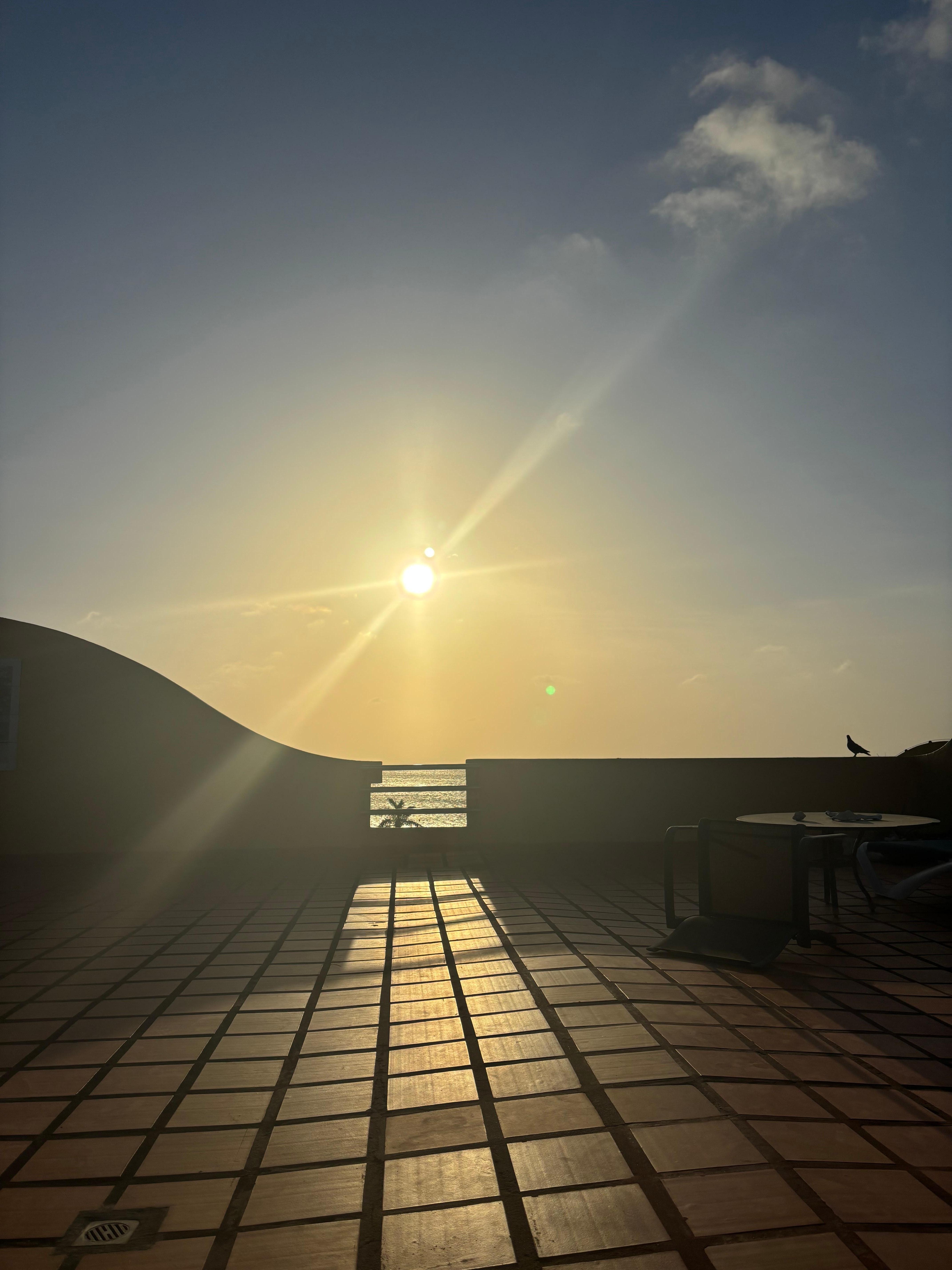 Roof top view