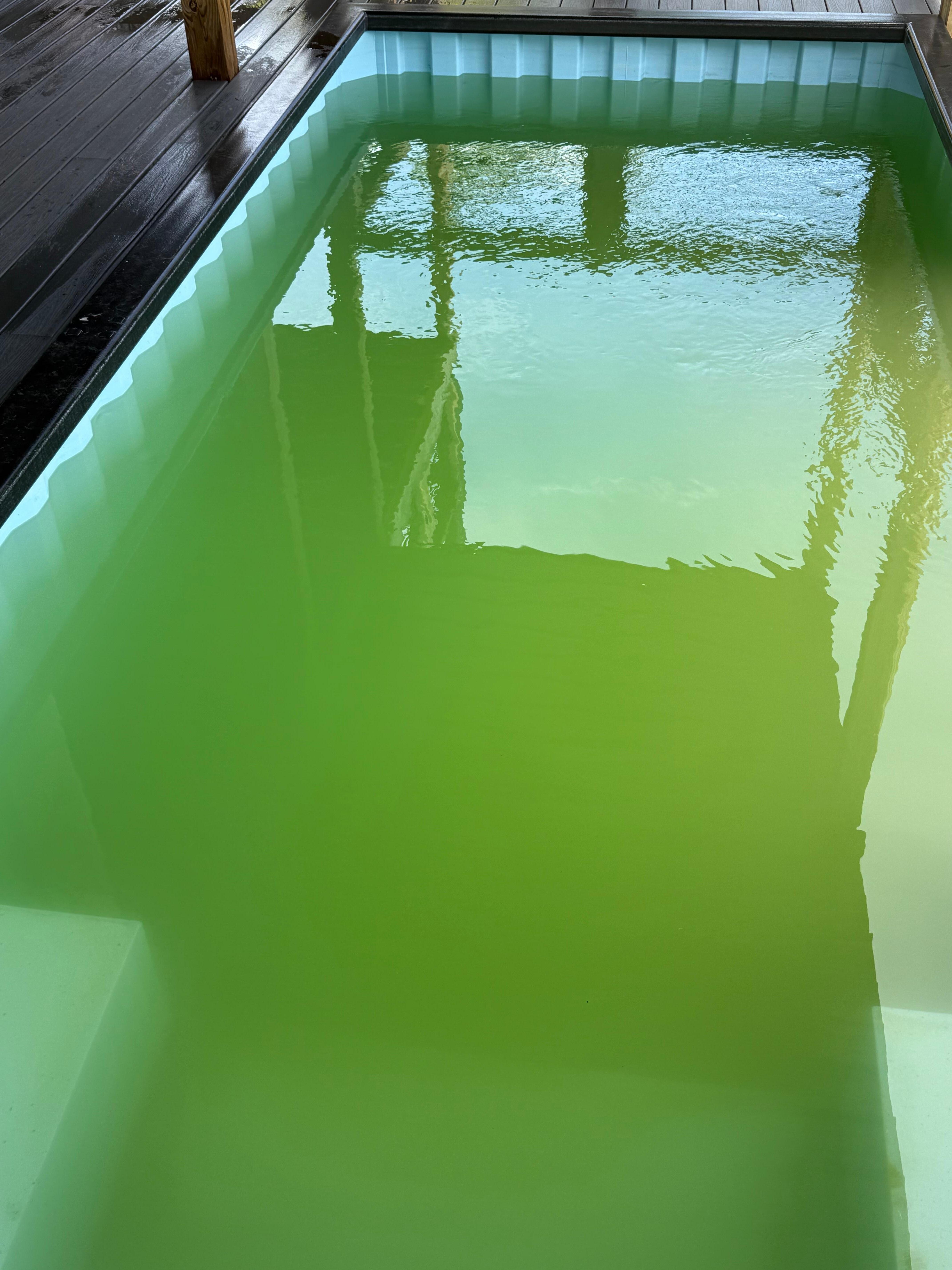 Morning after pool was “cleaned”