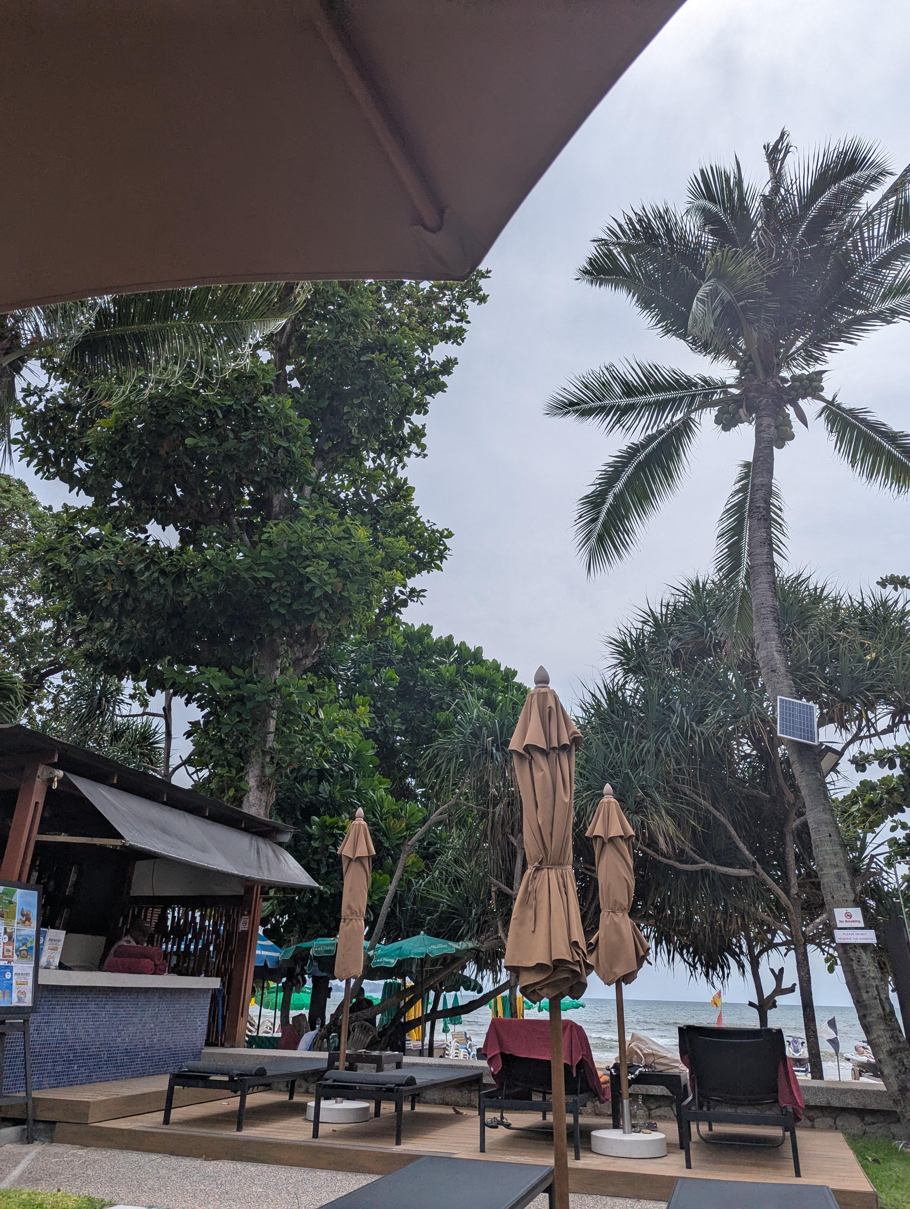 View from the Loungers 
