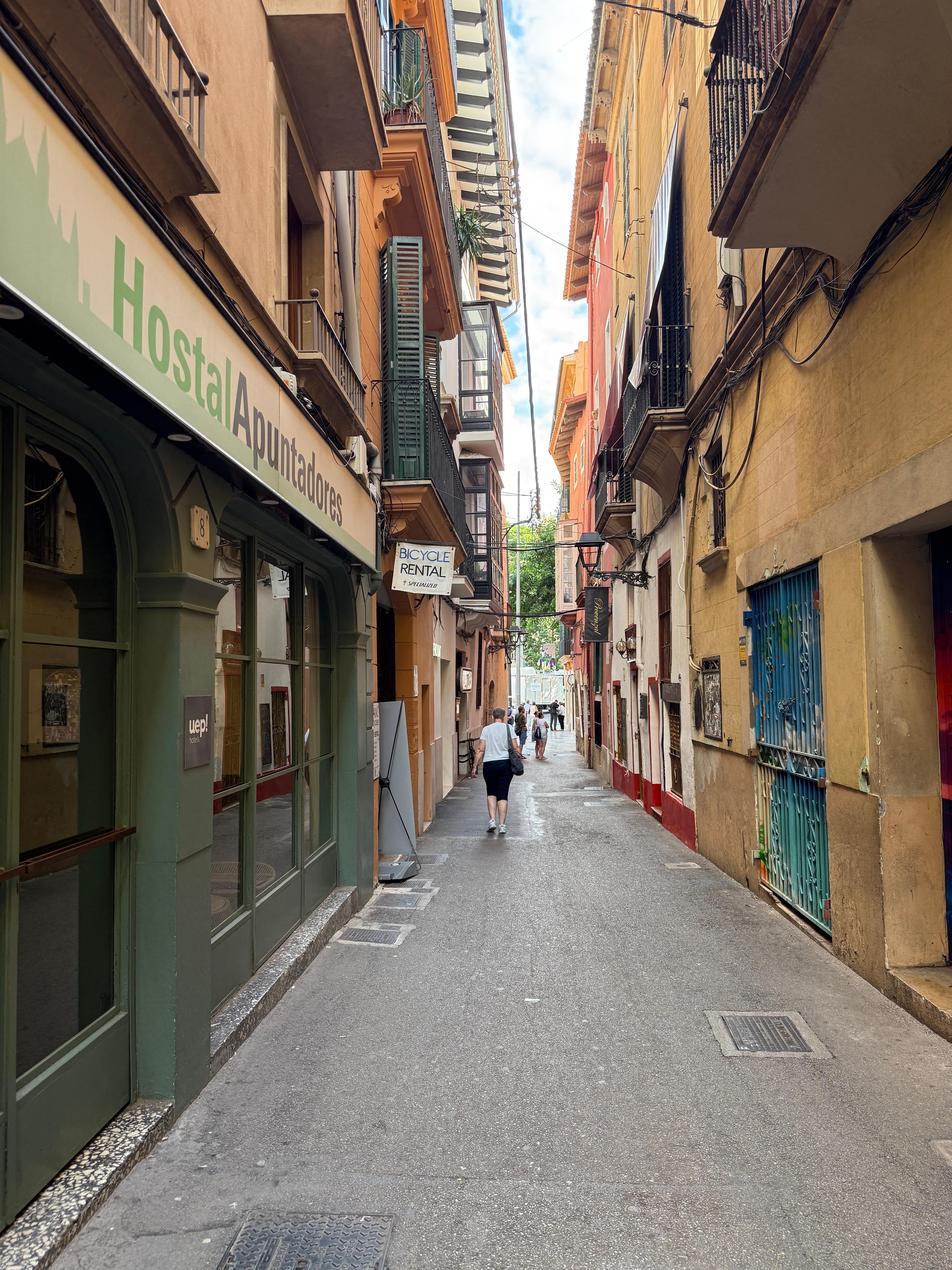 View from the roof top patio