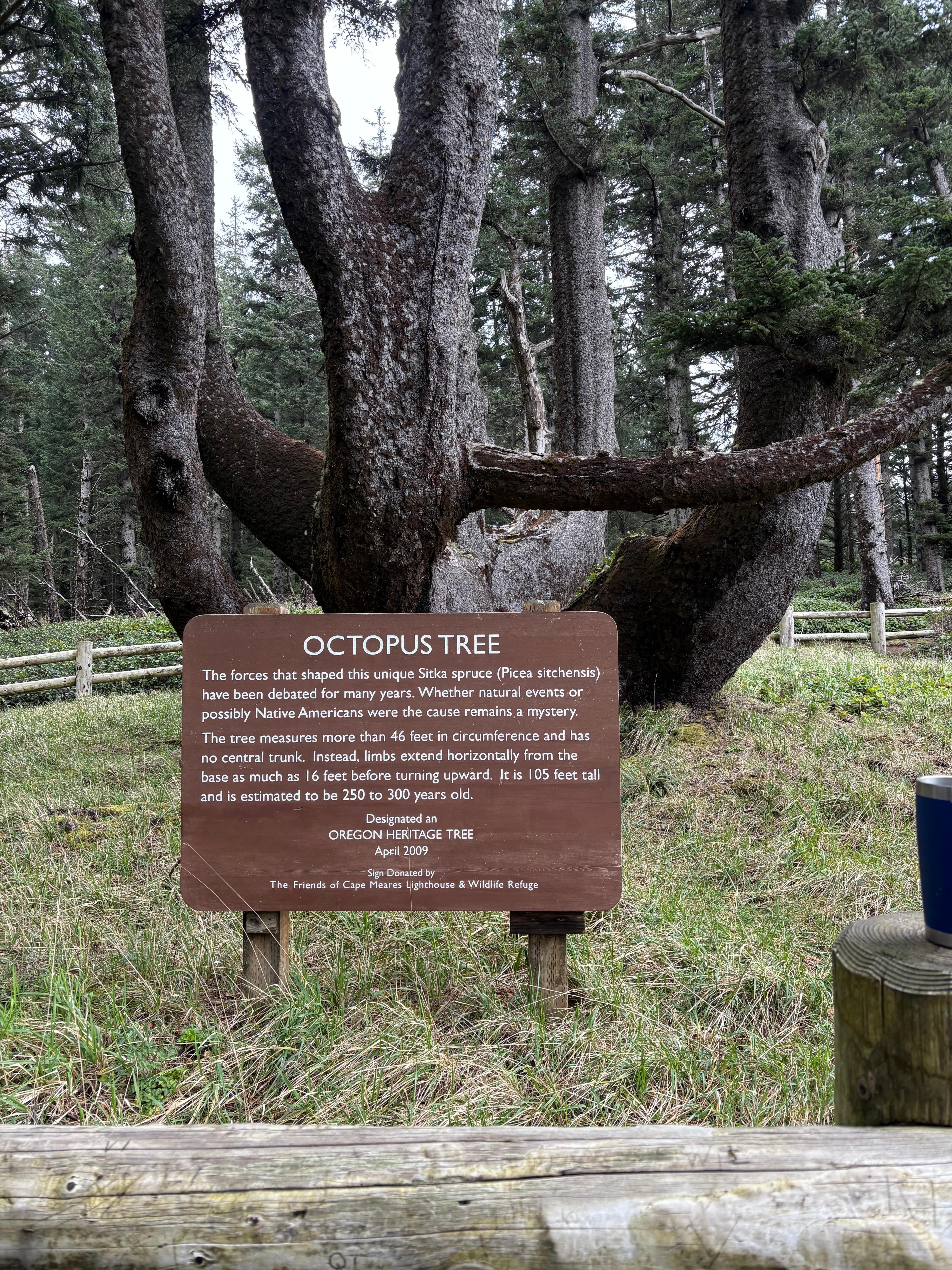 Short drive and easy walk