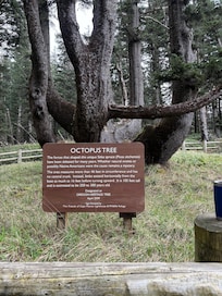 Short drive and easy walk