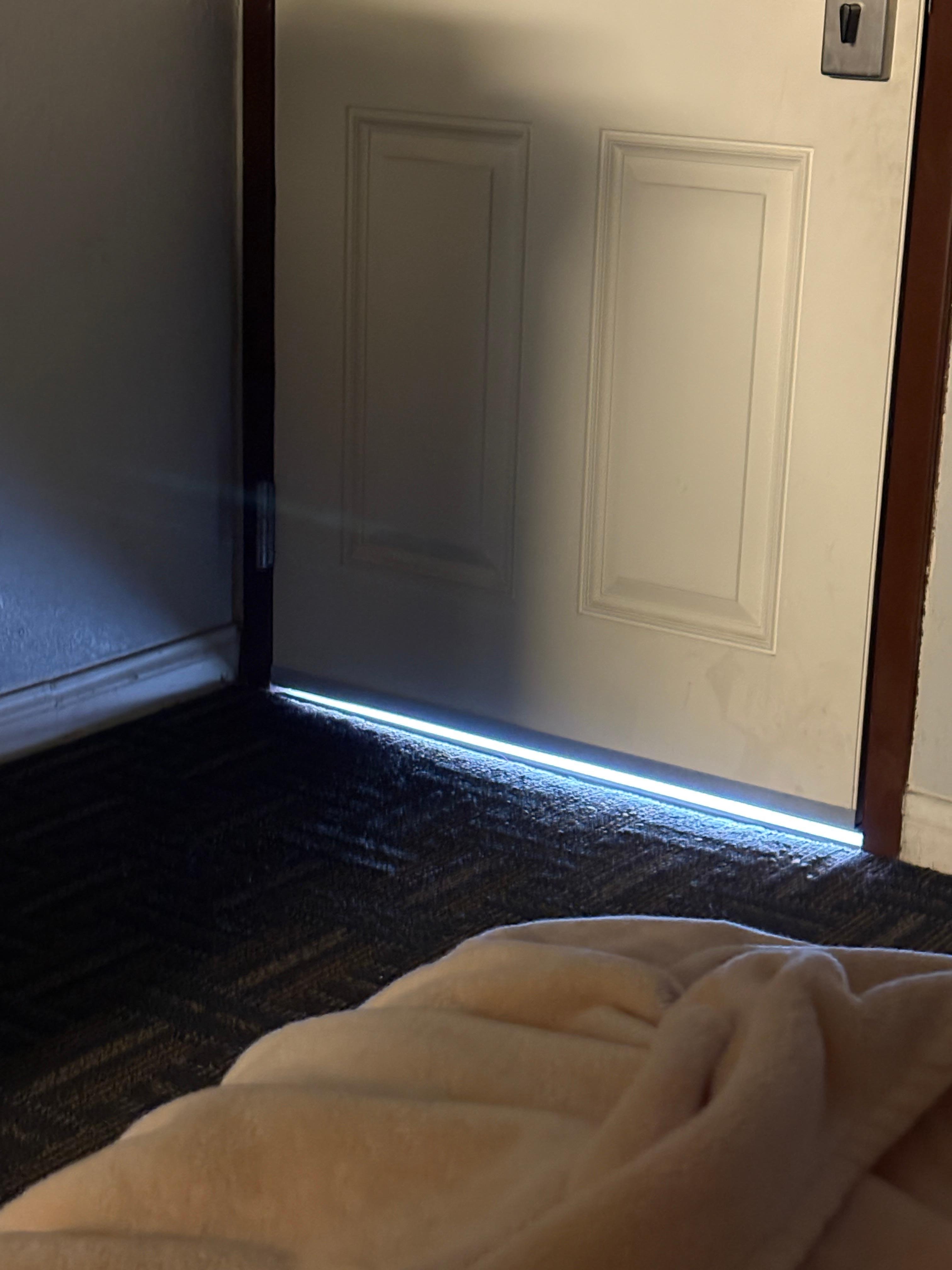 Literally space under door where the bugs and critters can enter