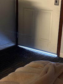 Literally space under door where the bugs and critters can enter