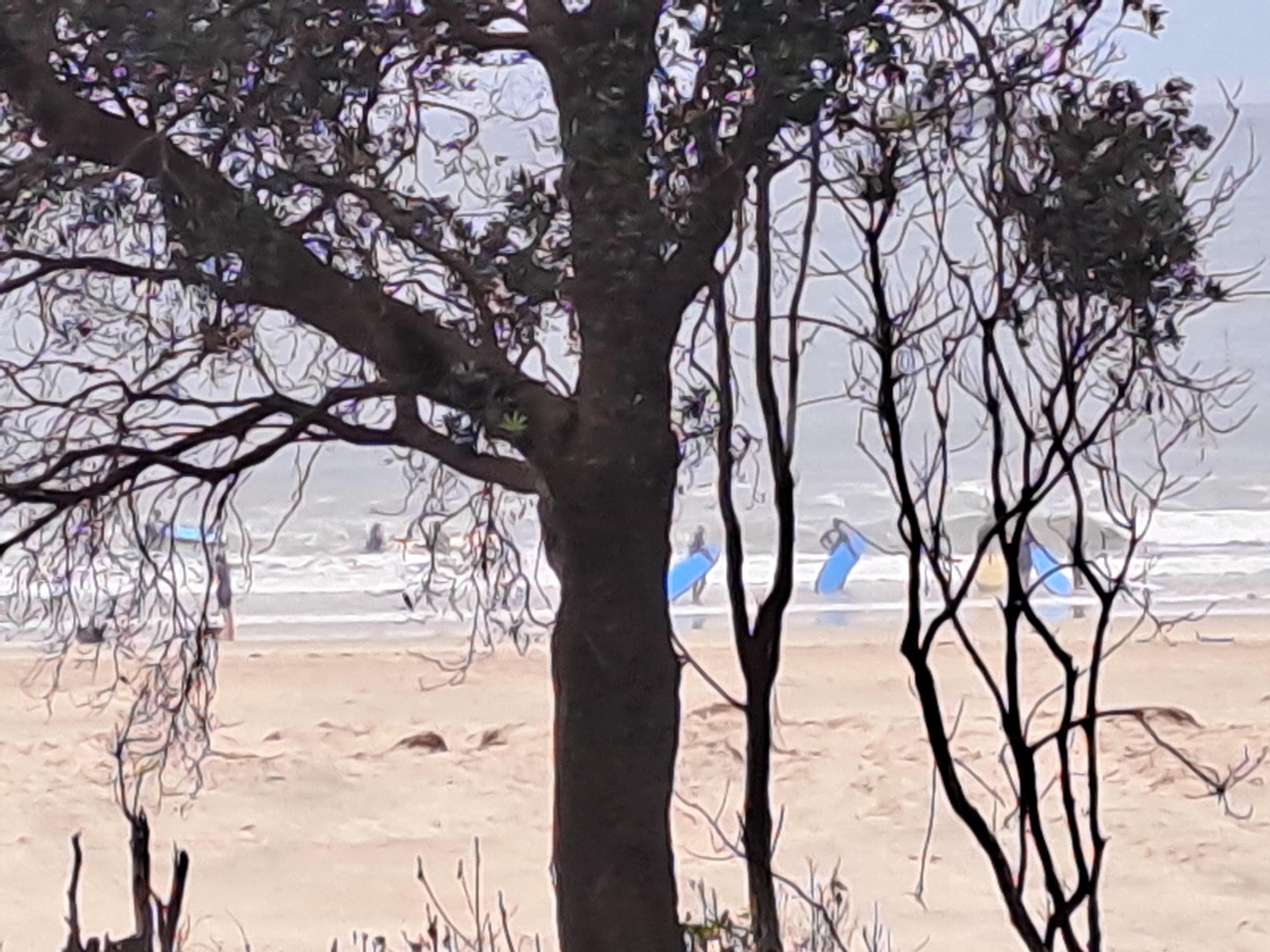 View from the balcony.