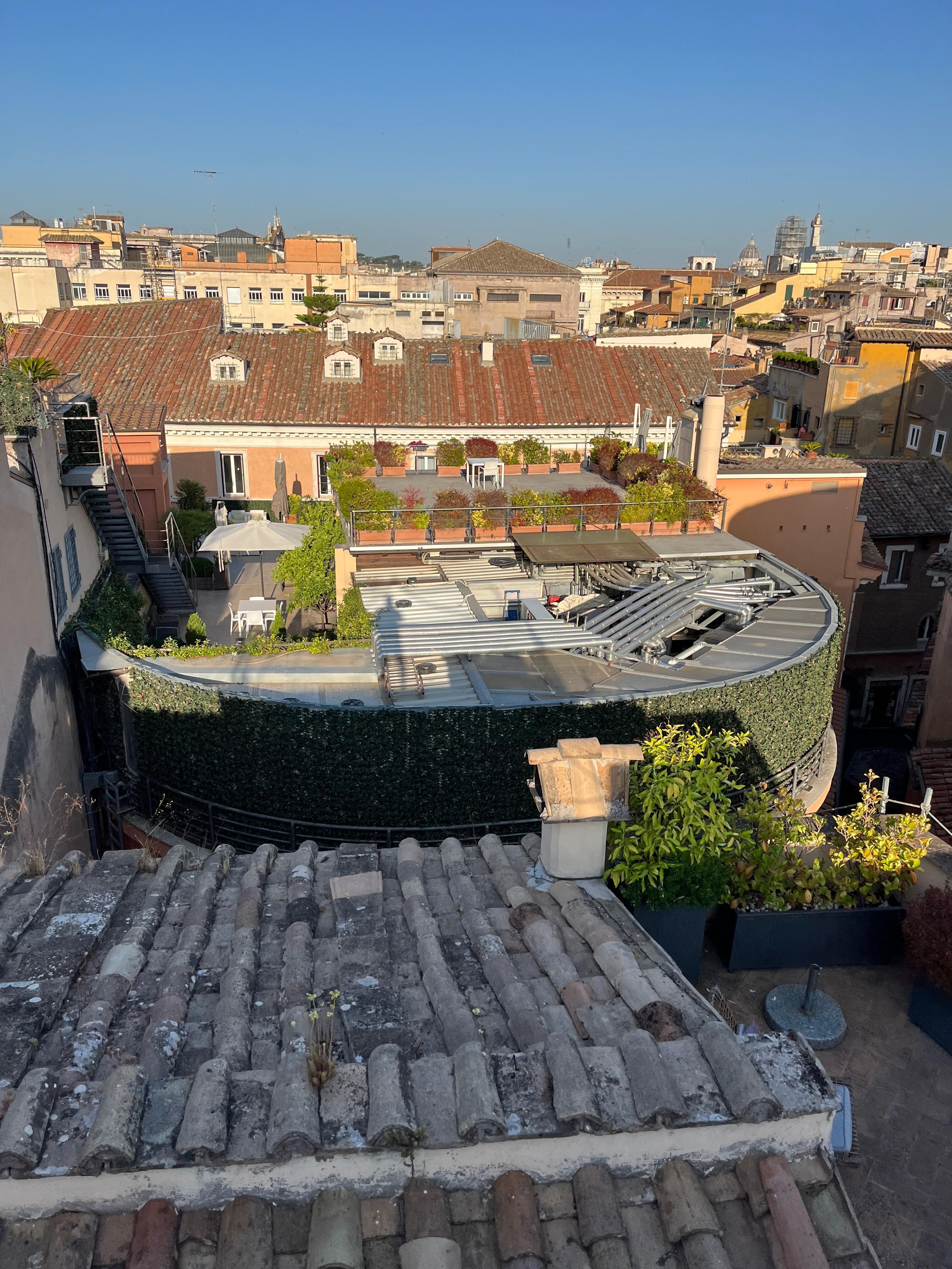 View from the rooftop deck