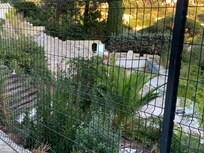 Demolition next door