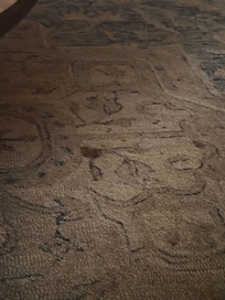 Rugs stained