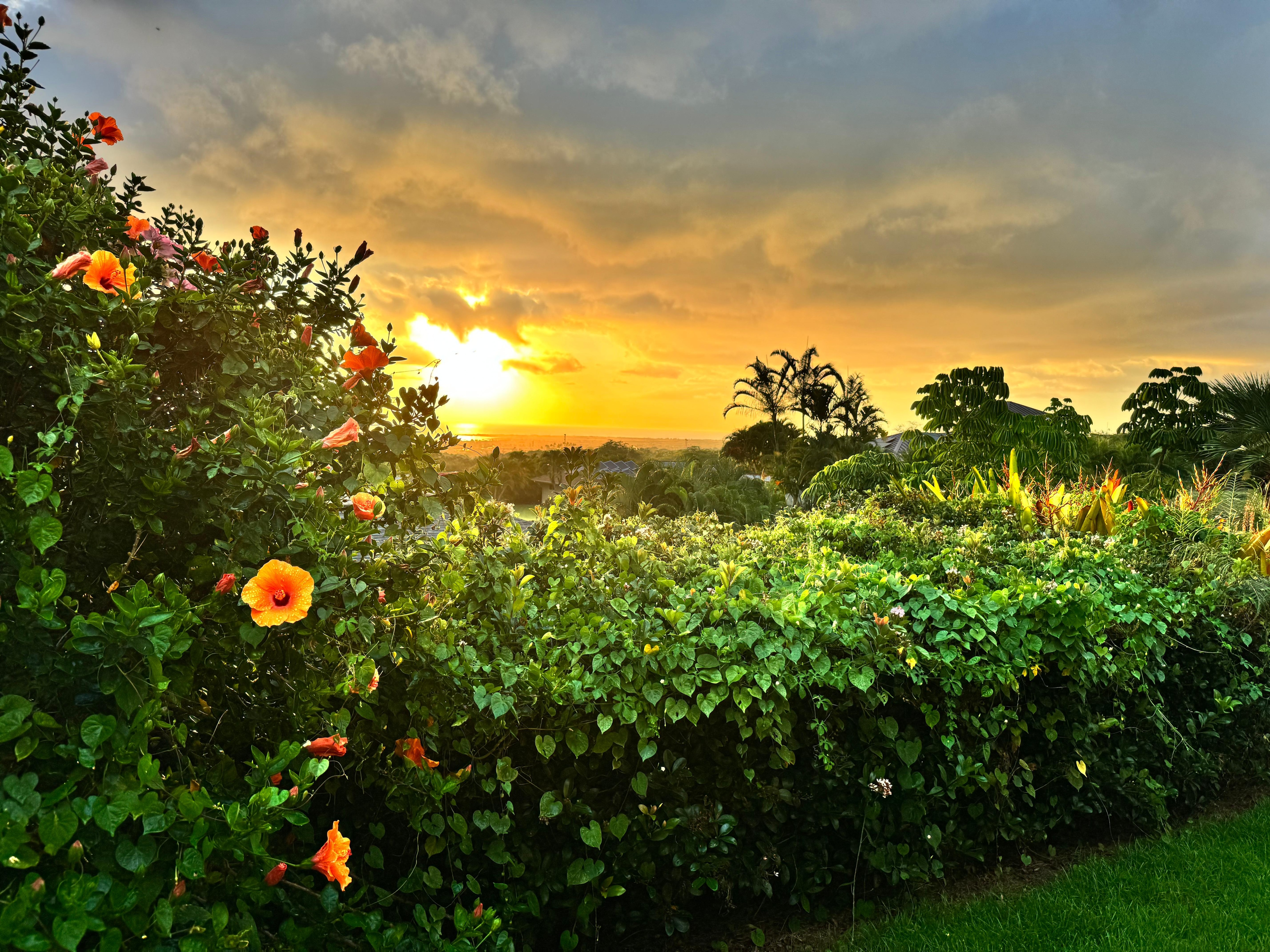 Sun setting from backyard.