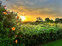 Sun setting from backyard.