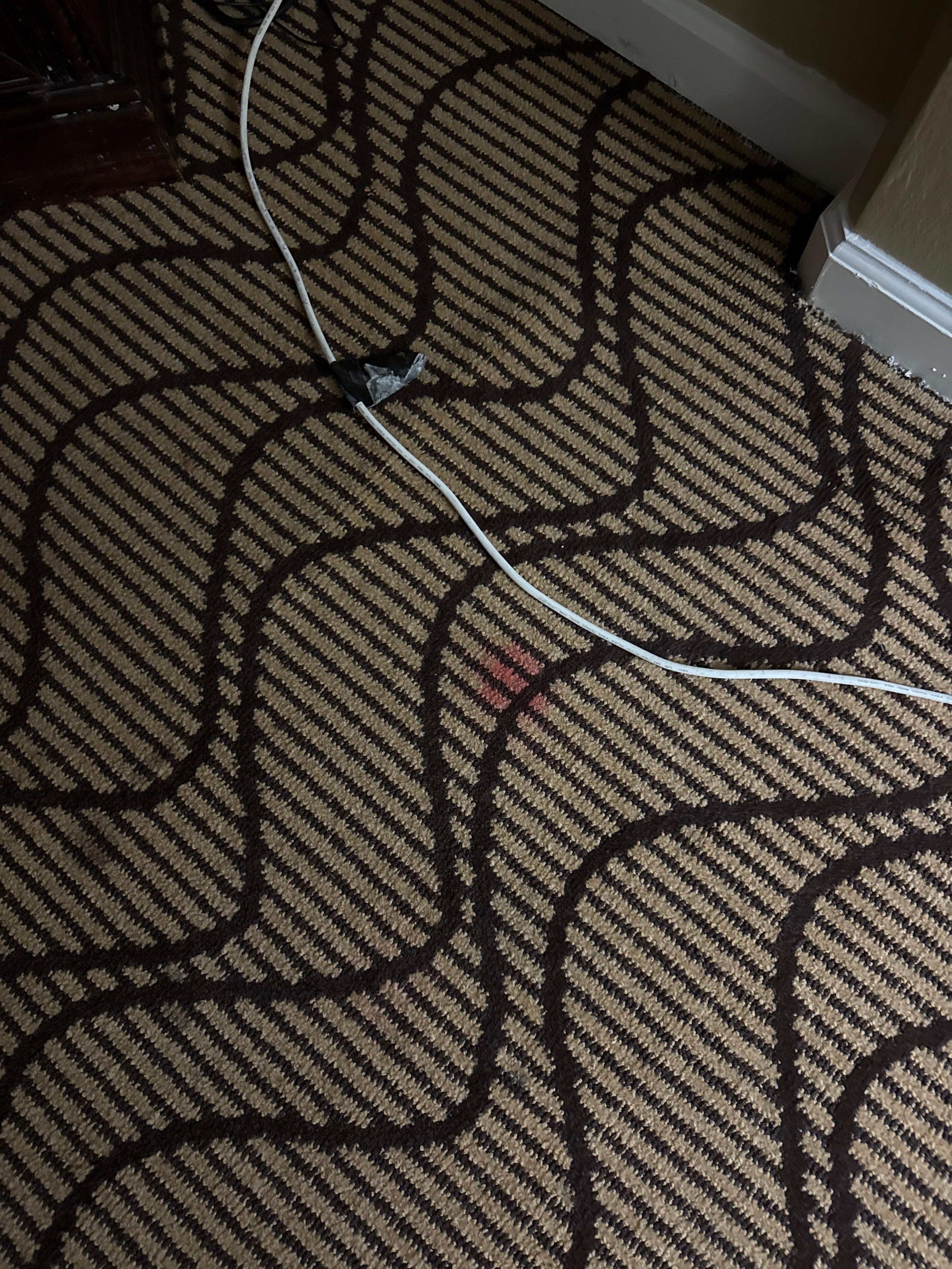 Just one picture of stains all over carpet. They were everywhere. 