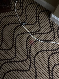 Just one picture of stains all over carpet. They were everywhere.