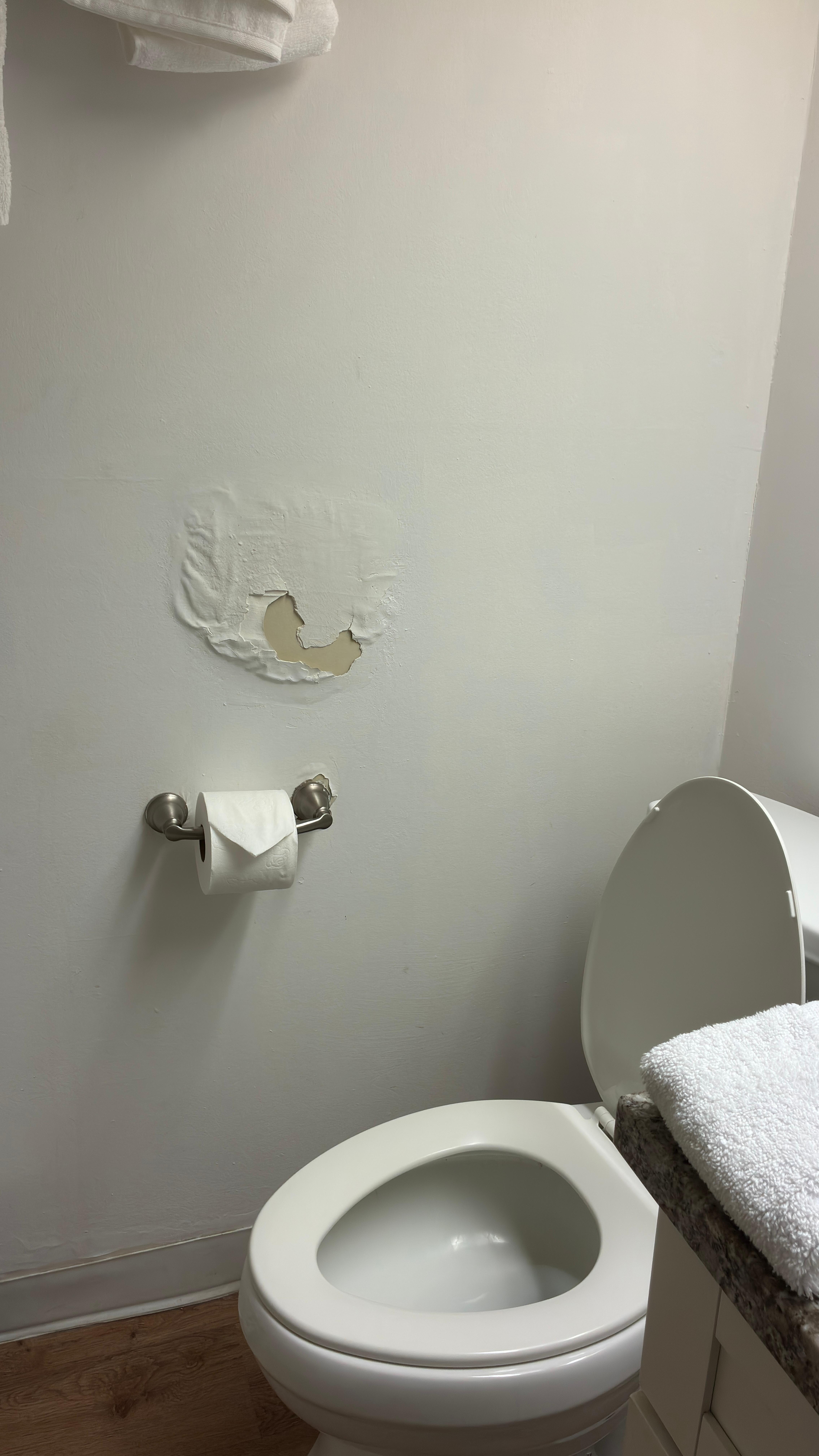 Paint and more peeling off the wall of the bathroom.