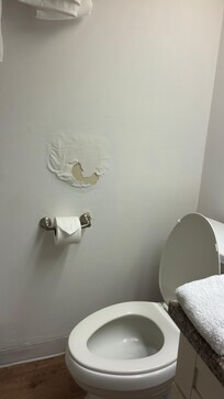 Paint and more peeling off the wall of the bathroom.