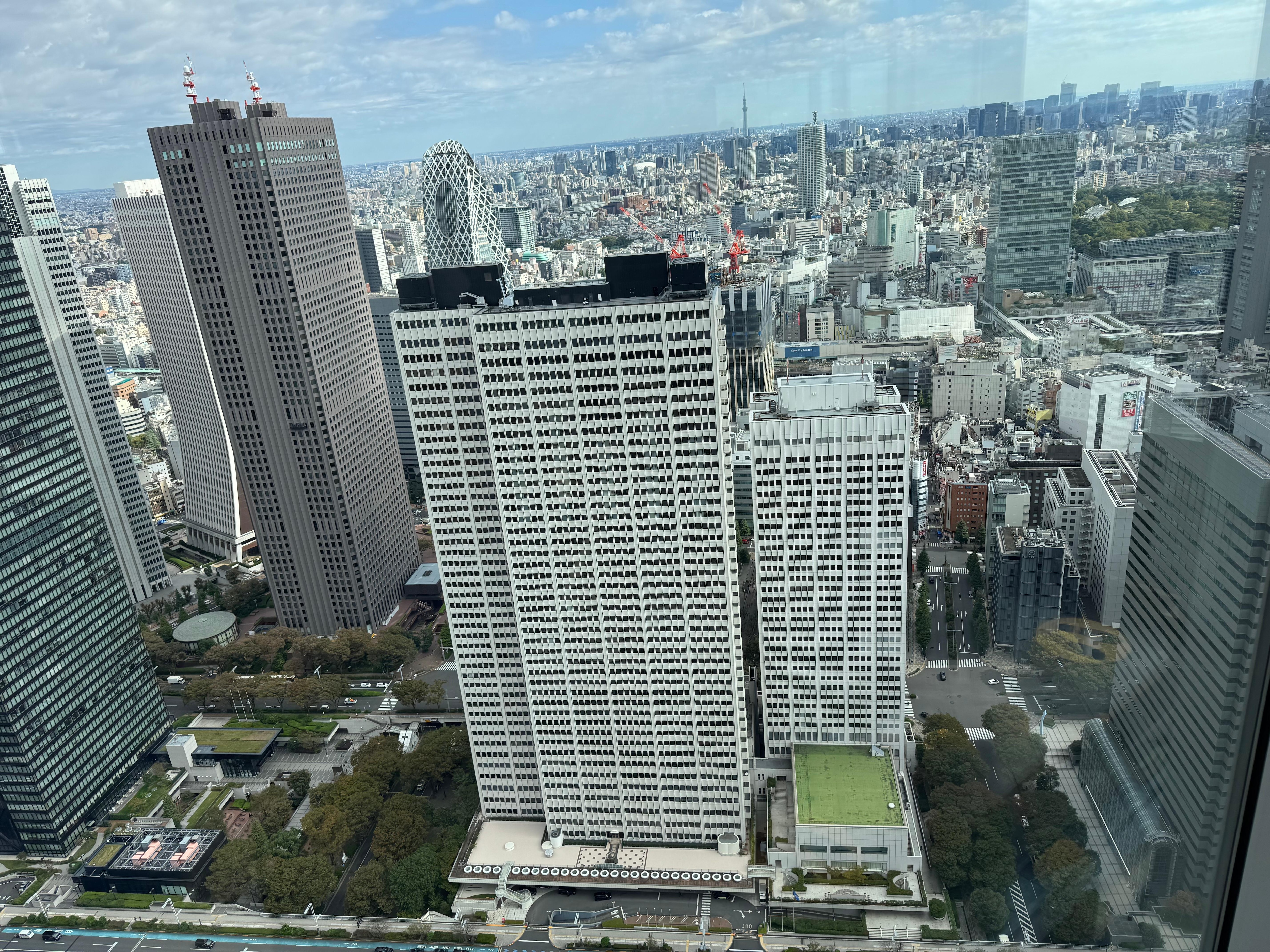 View of the Keio Plaza Hotel from the observatory (no admission charge) at the Tokyo Metropolitan Government building that is across the street. 
