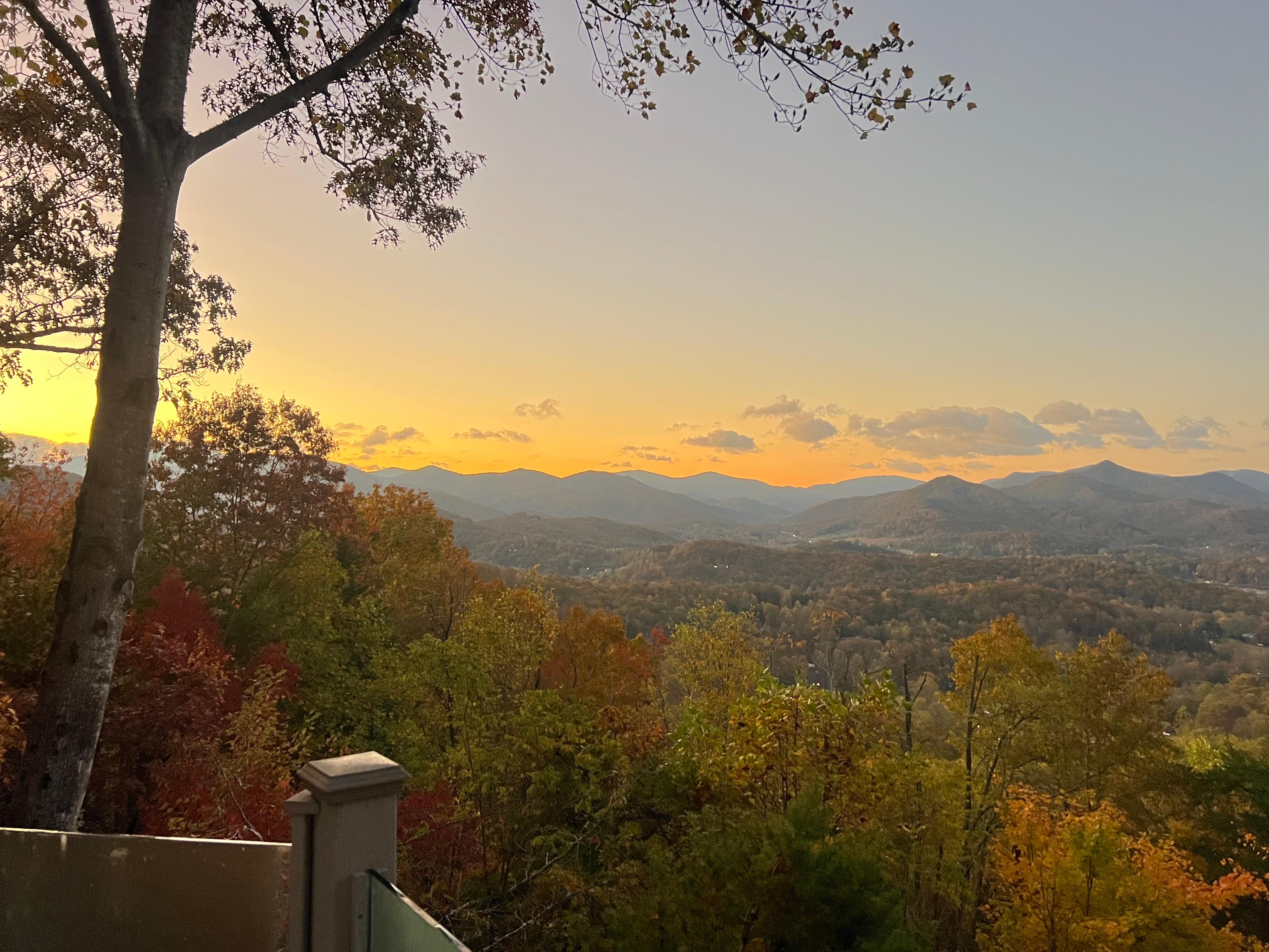 view from back porch 
