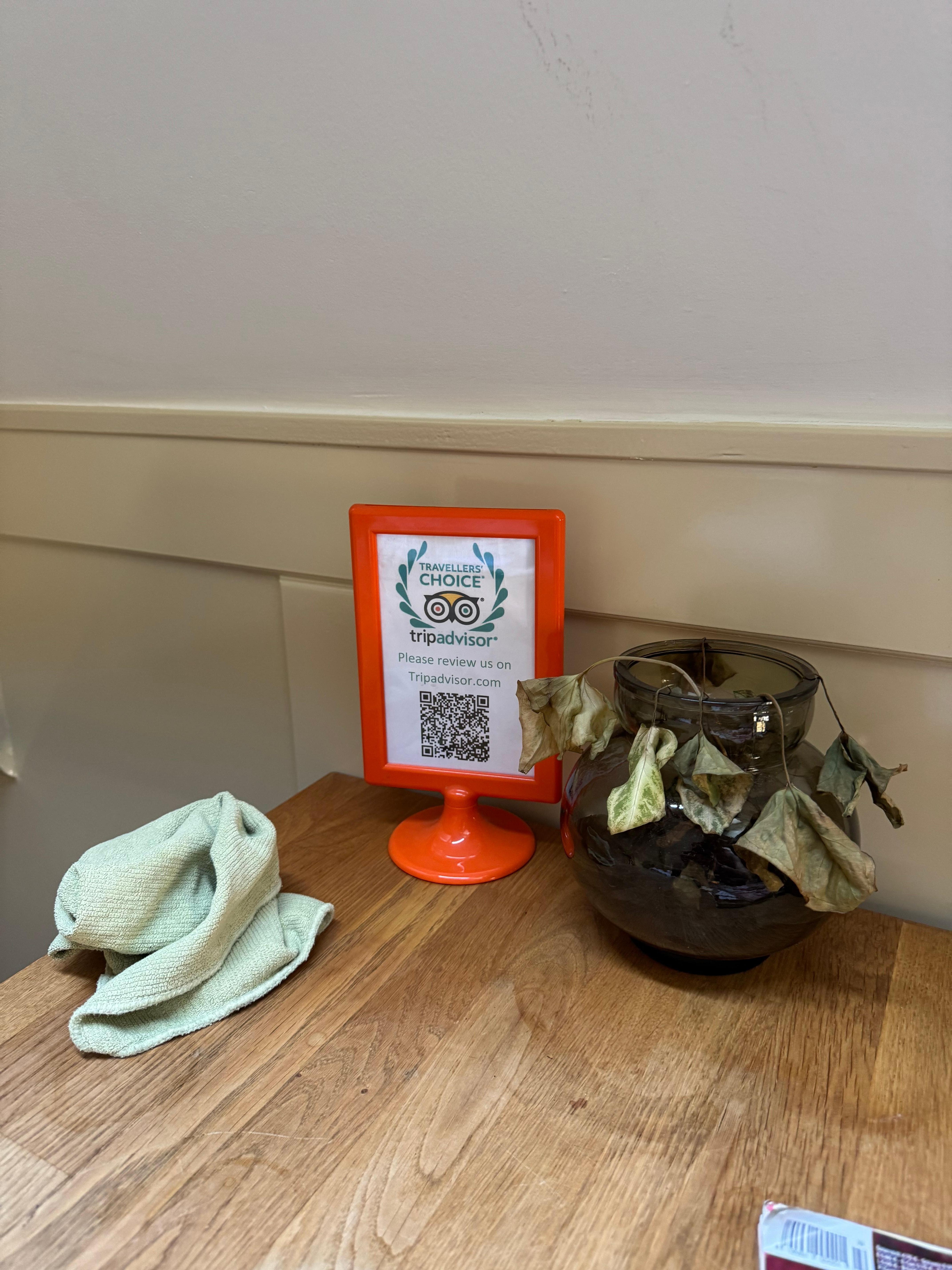 Tyvärr en kvarglömd skurtrasa och en ledsen växt. Övriga växter på rummet mådde mycket bra. 