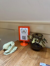 Tyvärr en kvarglömd skurtrasa och en ledsen växt. Övriga växter på rummet mådde mycket bra.