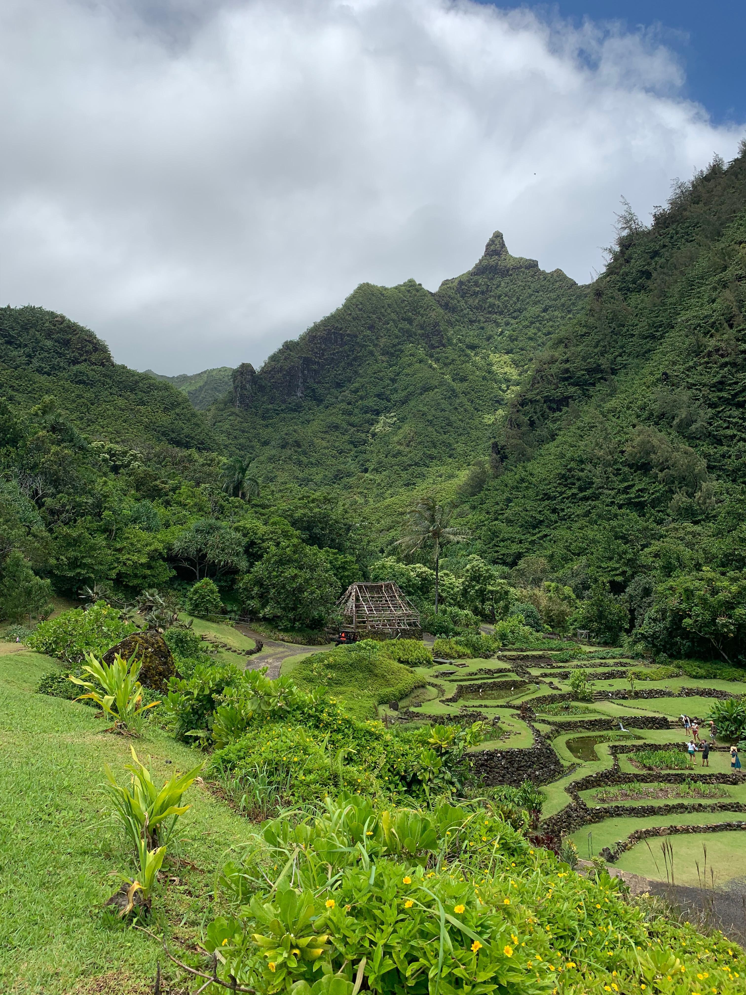 Limahuli