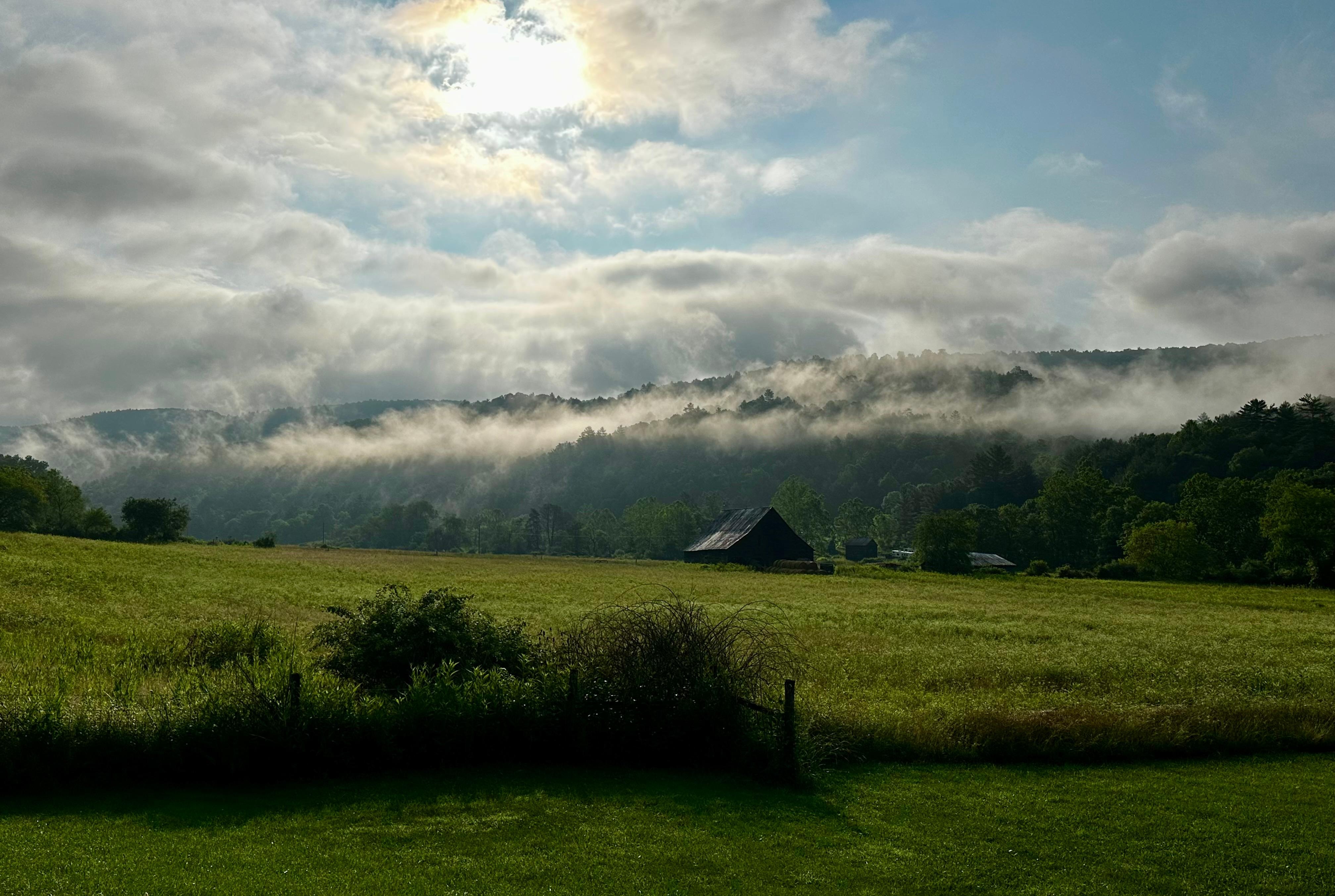 View from the deck. 