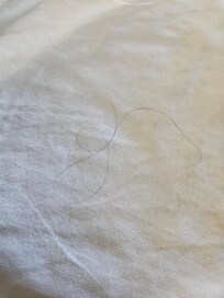 This was the dirty sheets and hair