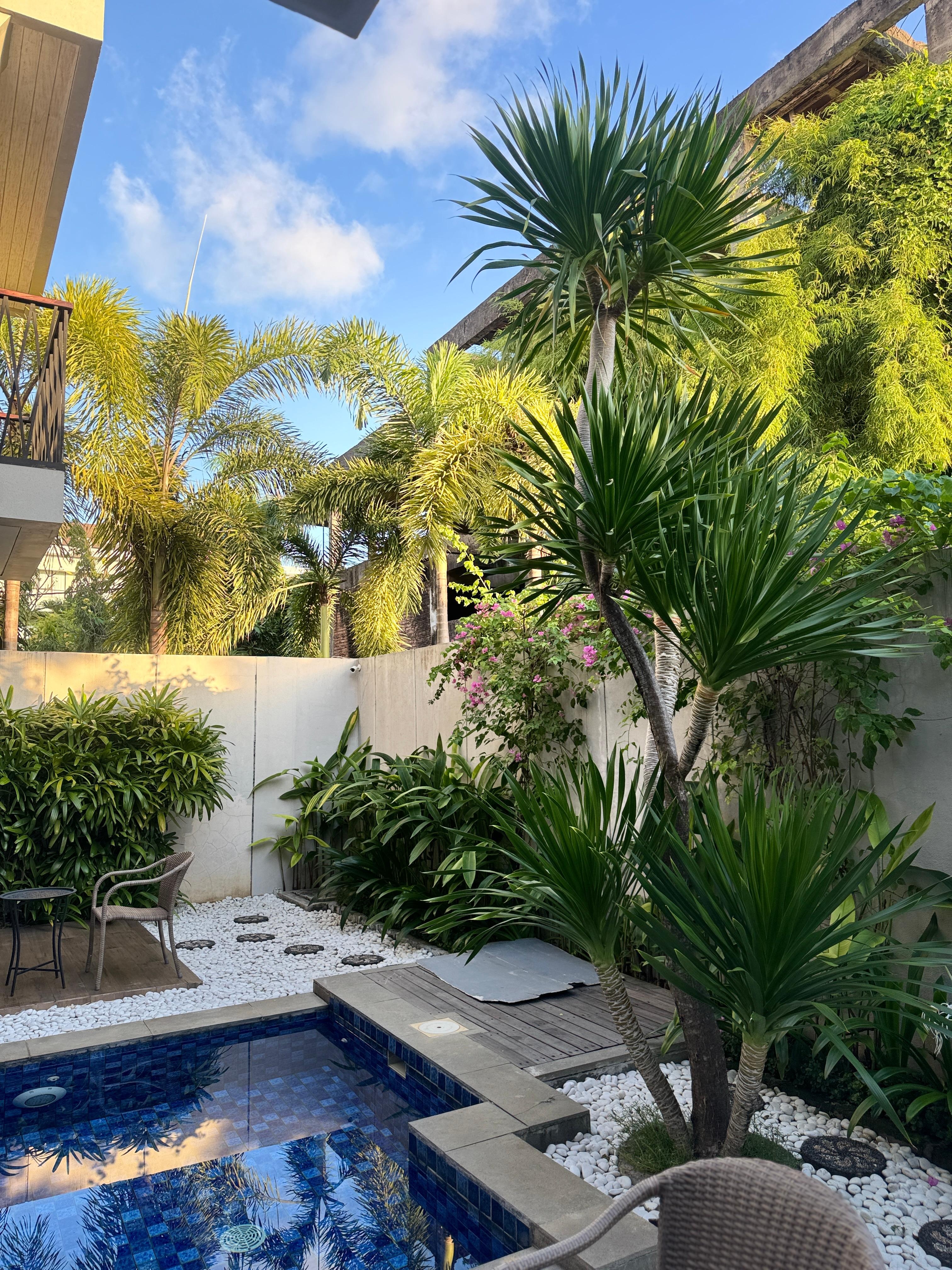 Room pool and garden terraced (shared with next door - not private)
