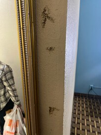 Poop wiped on walls, looks like it has been there a long time and was starting to grow mold/bacteria