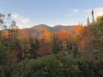 View from kitchen window