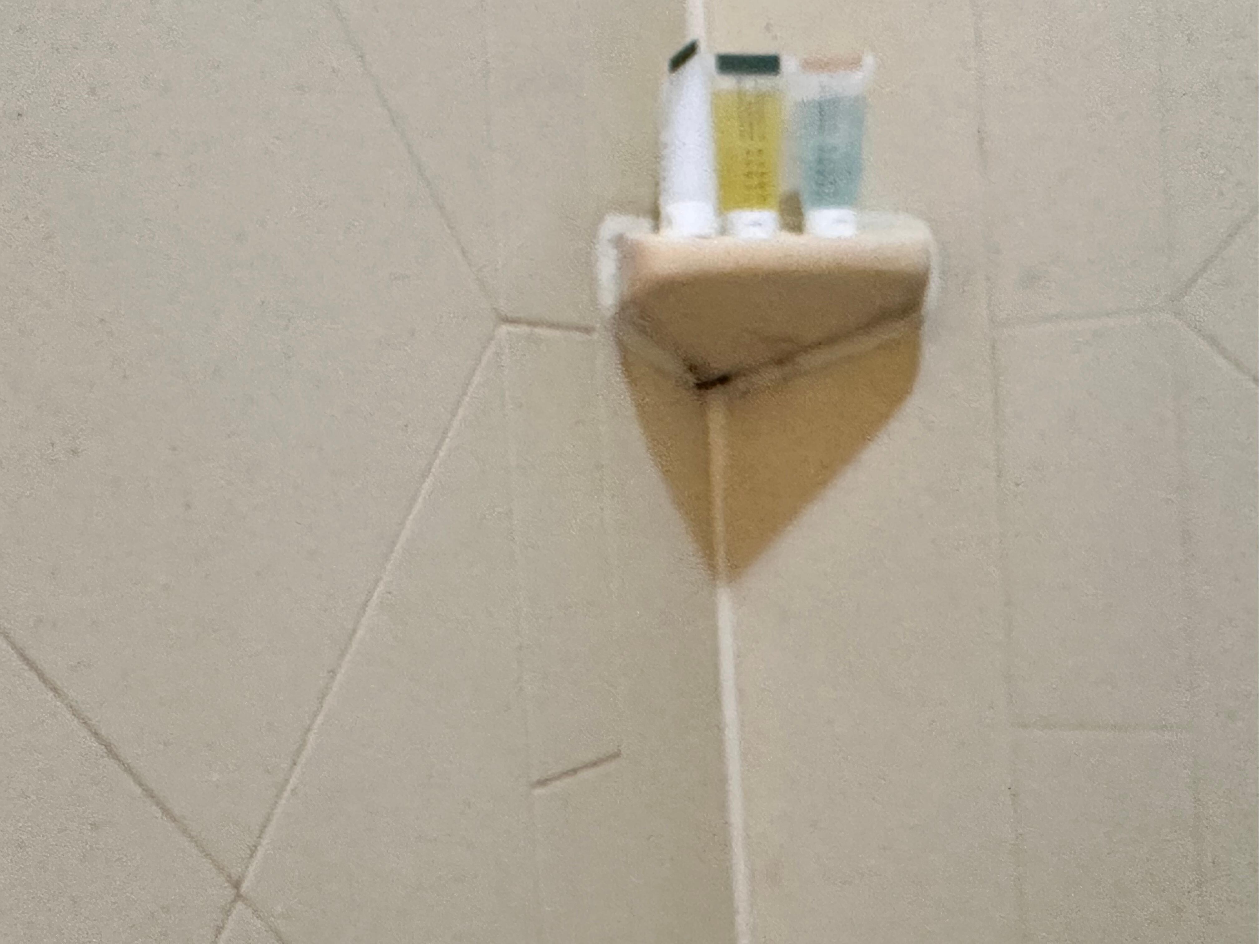 Shower need proper cleaning 