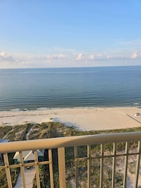 Morning view from the patio.