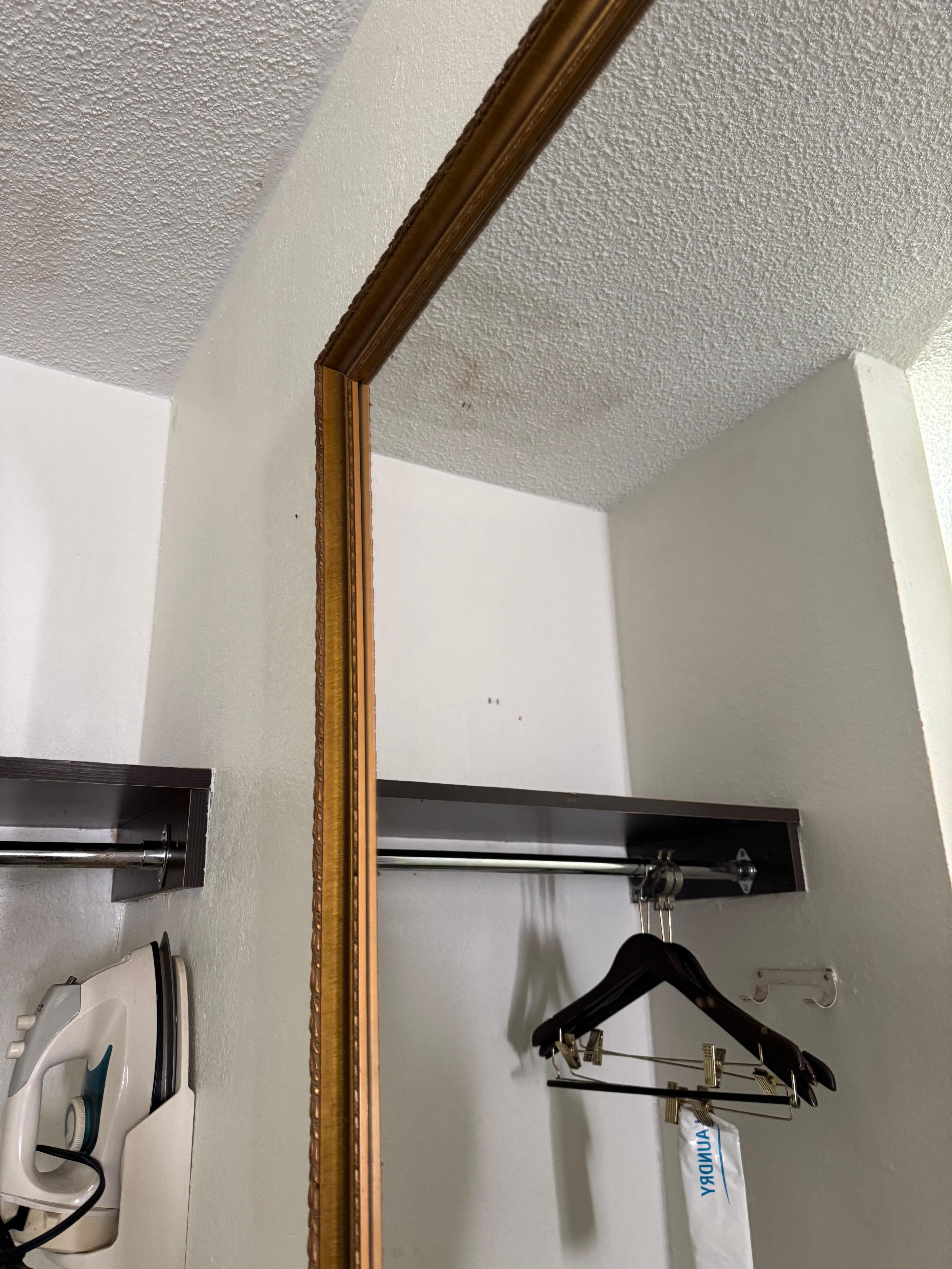 flies and fruit flies everywhere 
