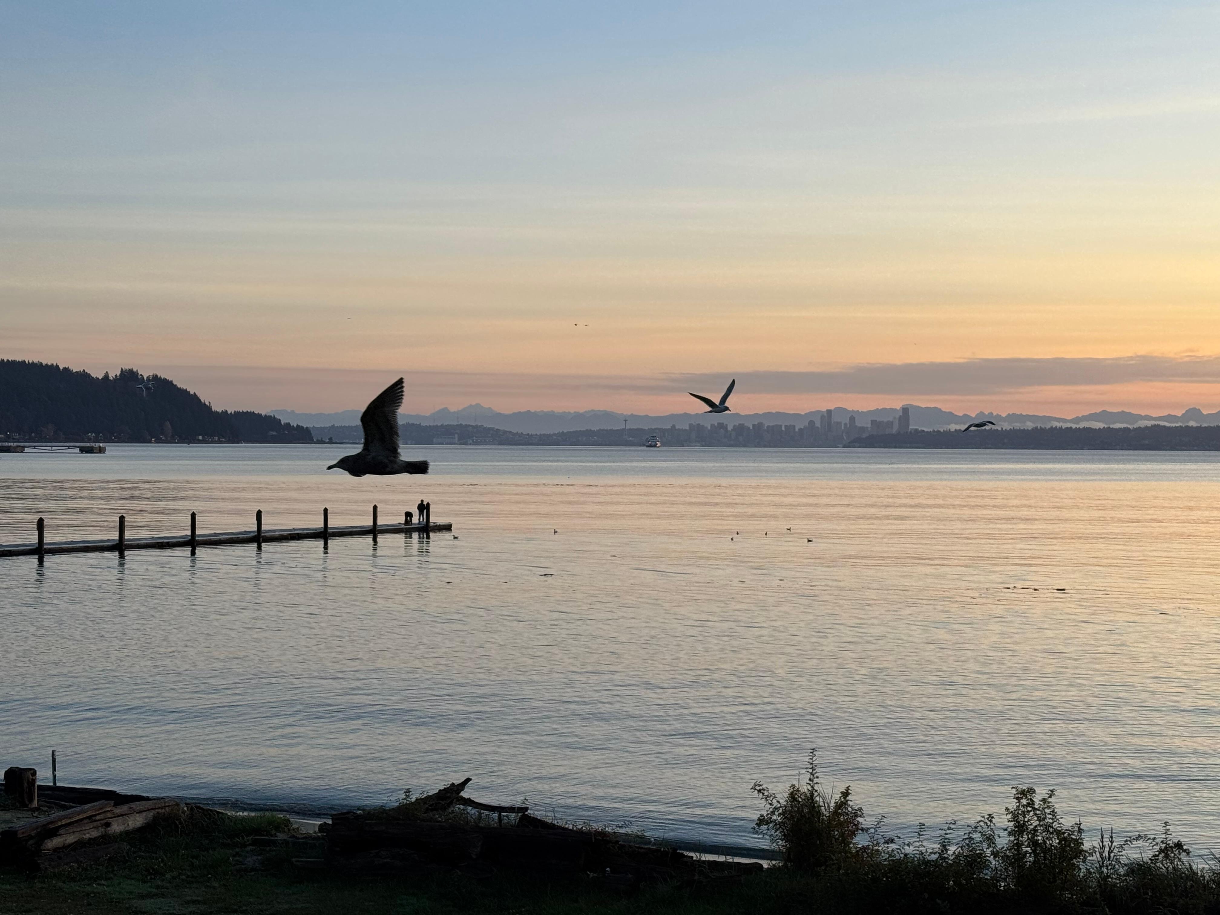 View of the water from the front yard at sunrise 