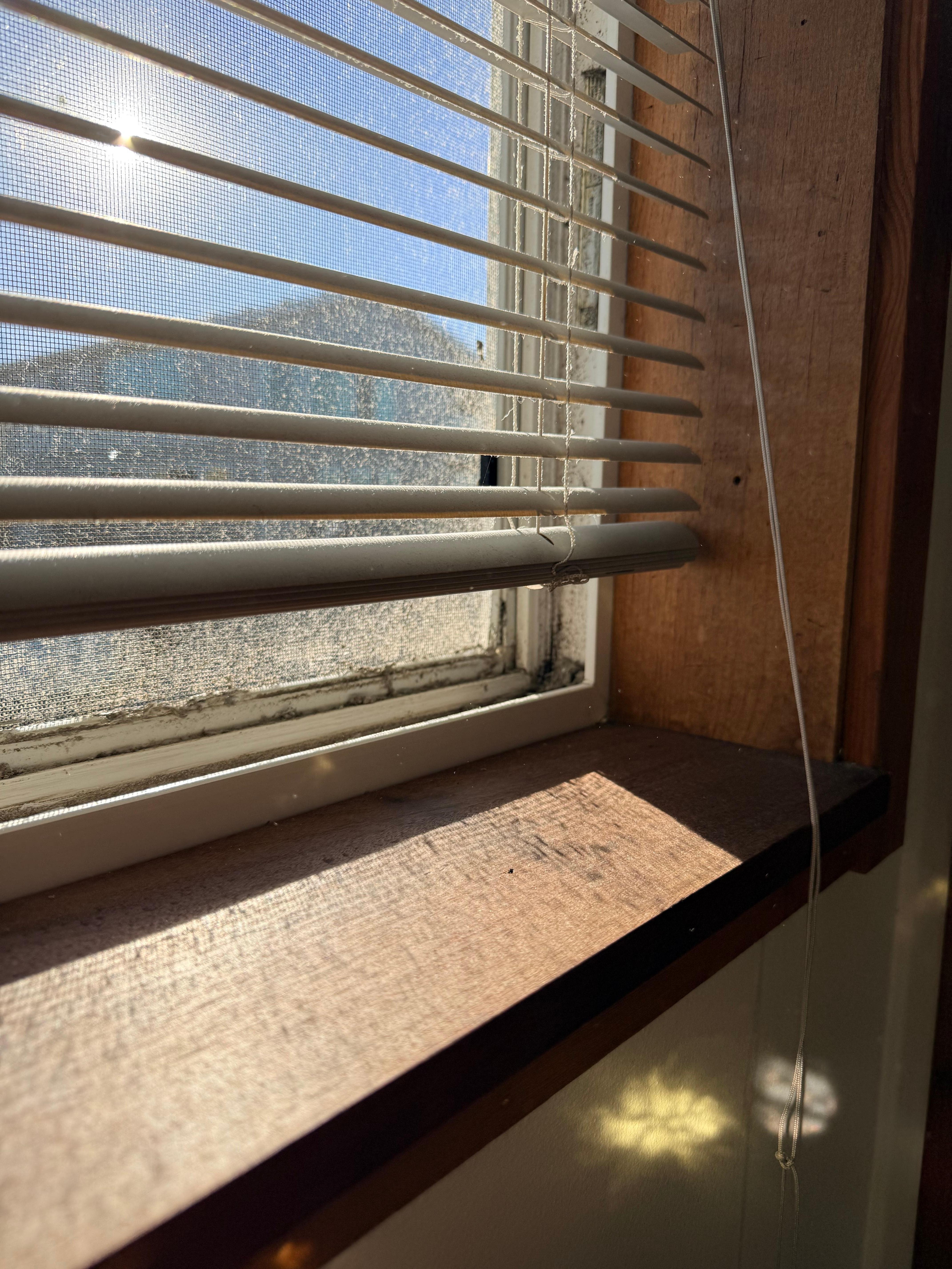 This is the cleanest window that I could find. 