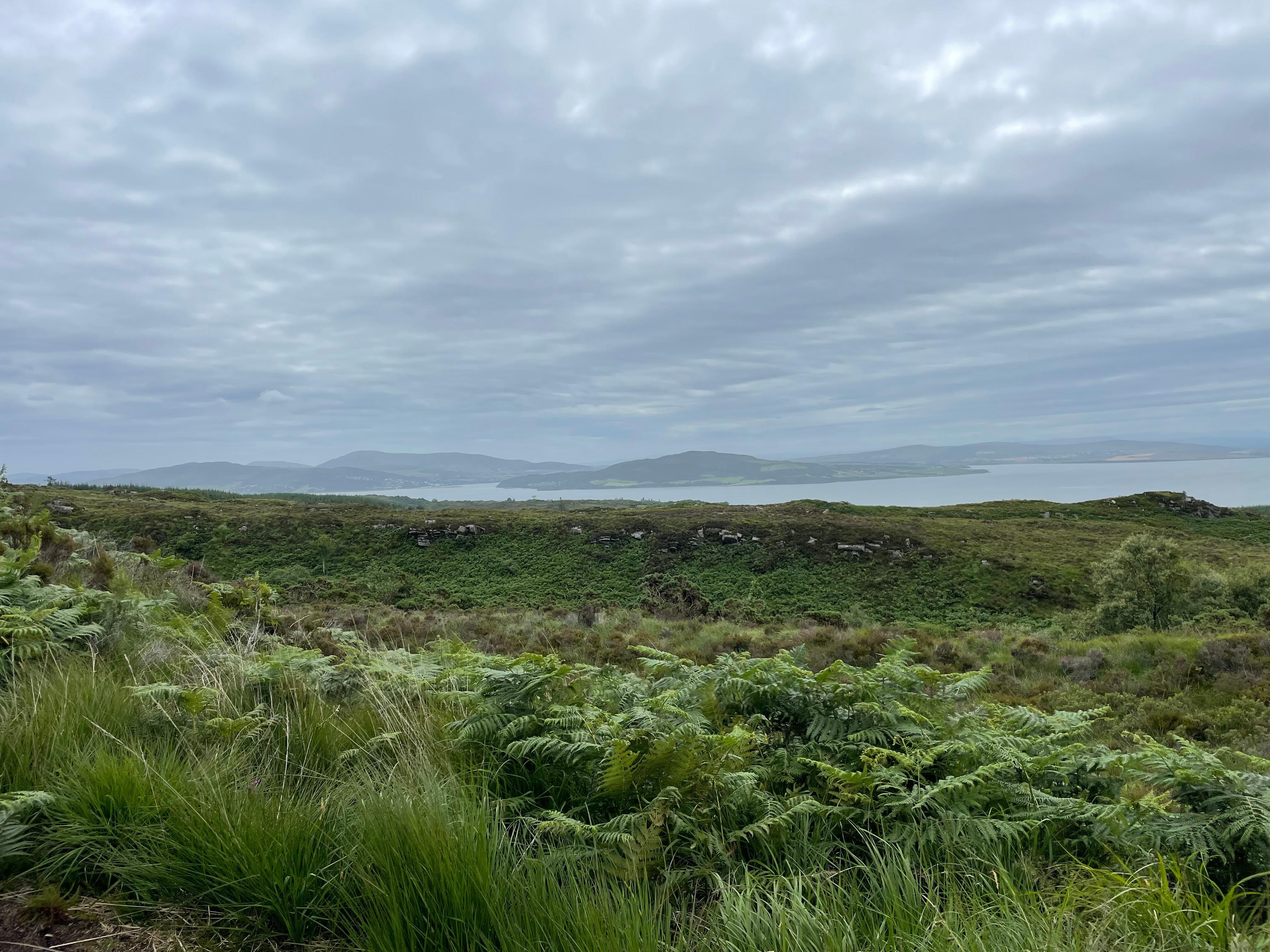 Swillyview