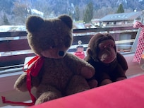 Freundliche Mitbewohner