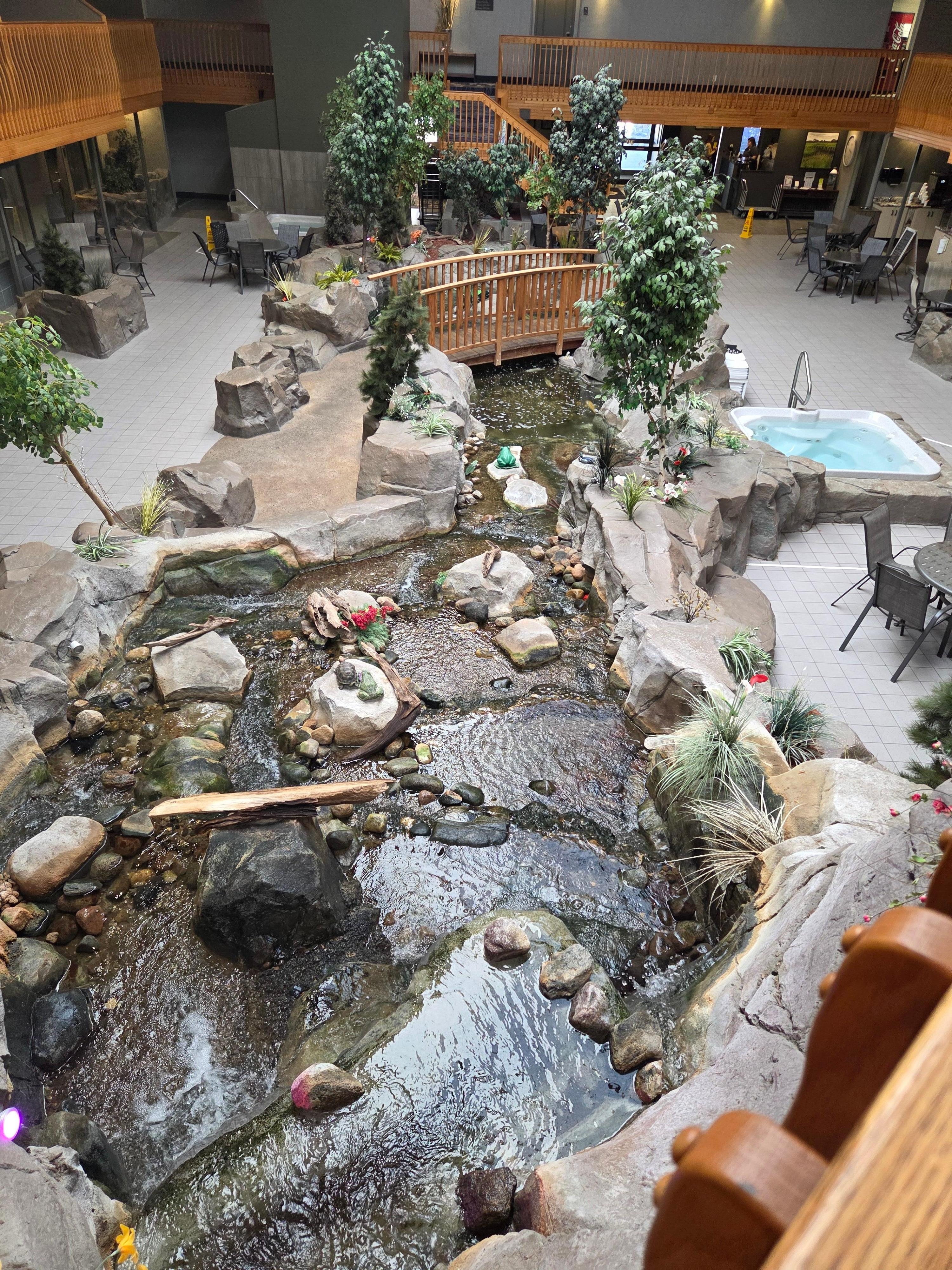 We liked watching the fish.