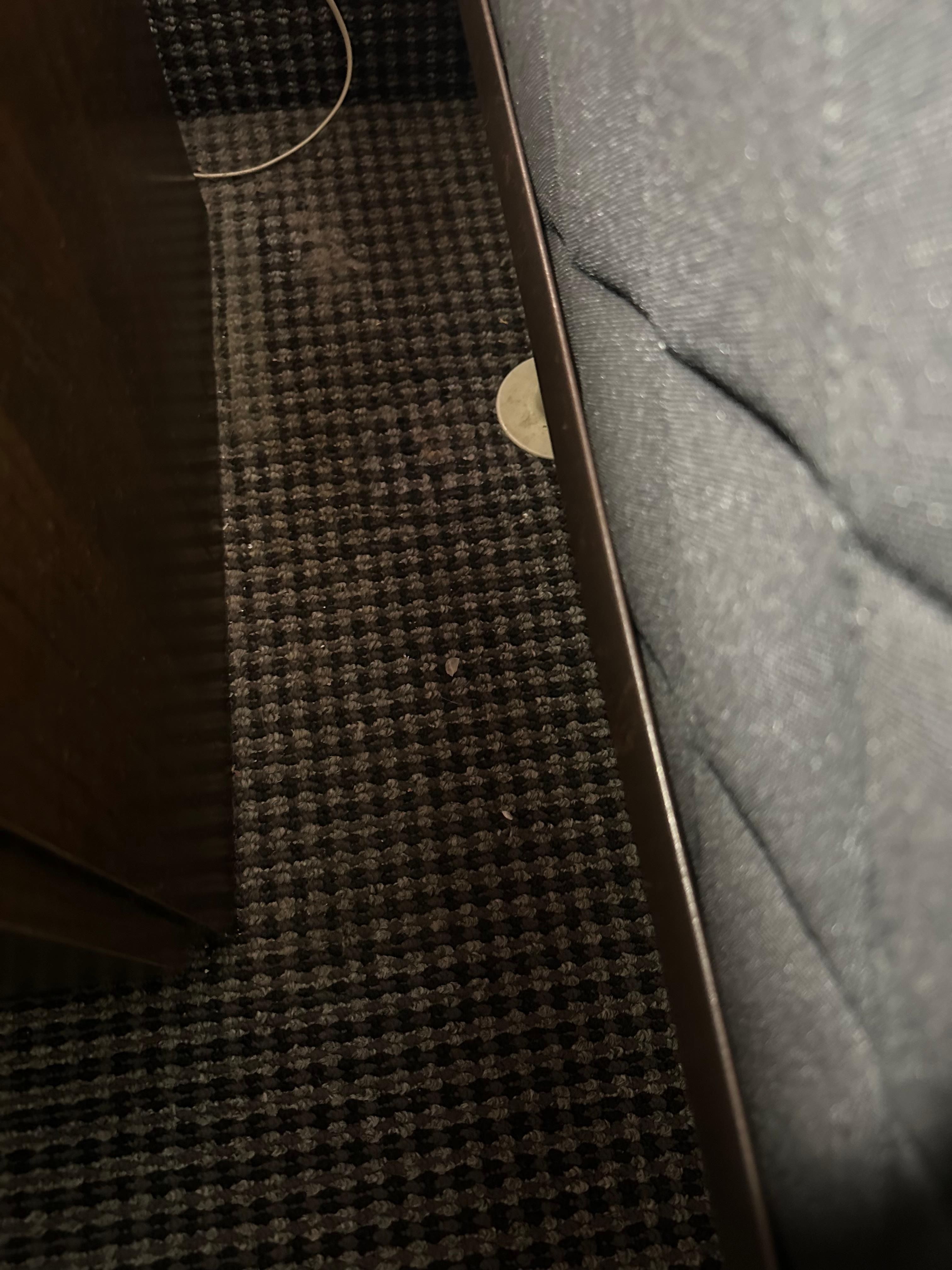 Stained and non vacuumed floor