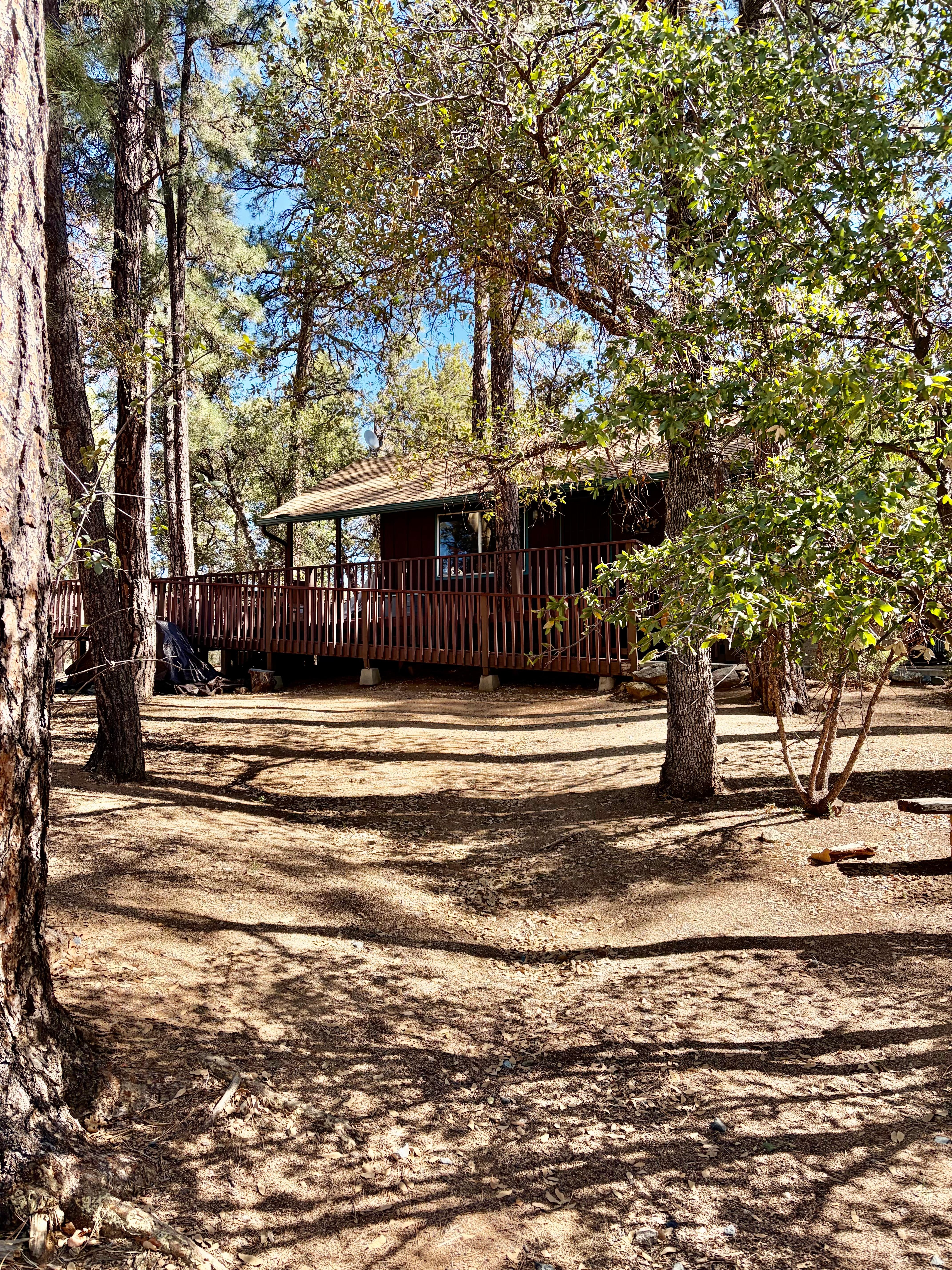 Charming cabin in the forest.