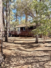 Charming cabin in the forest.