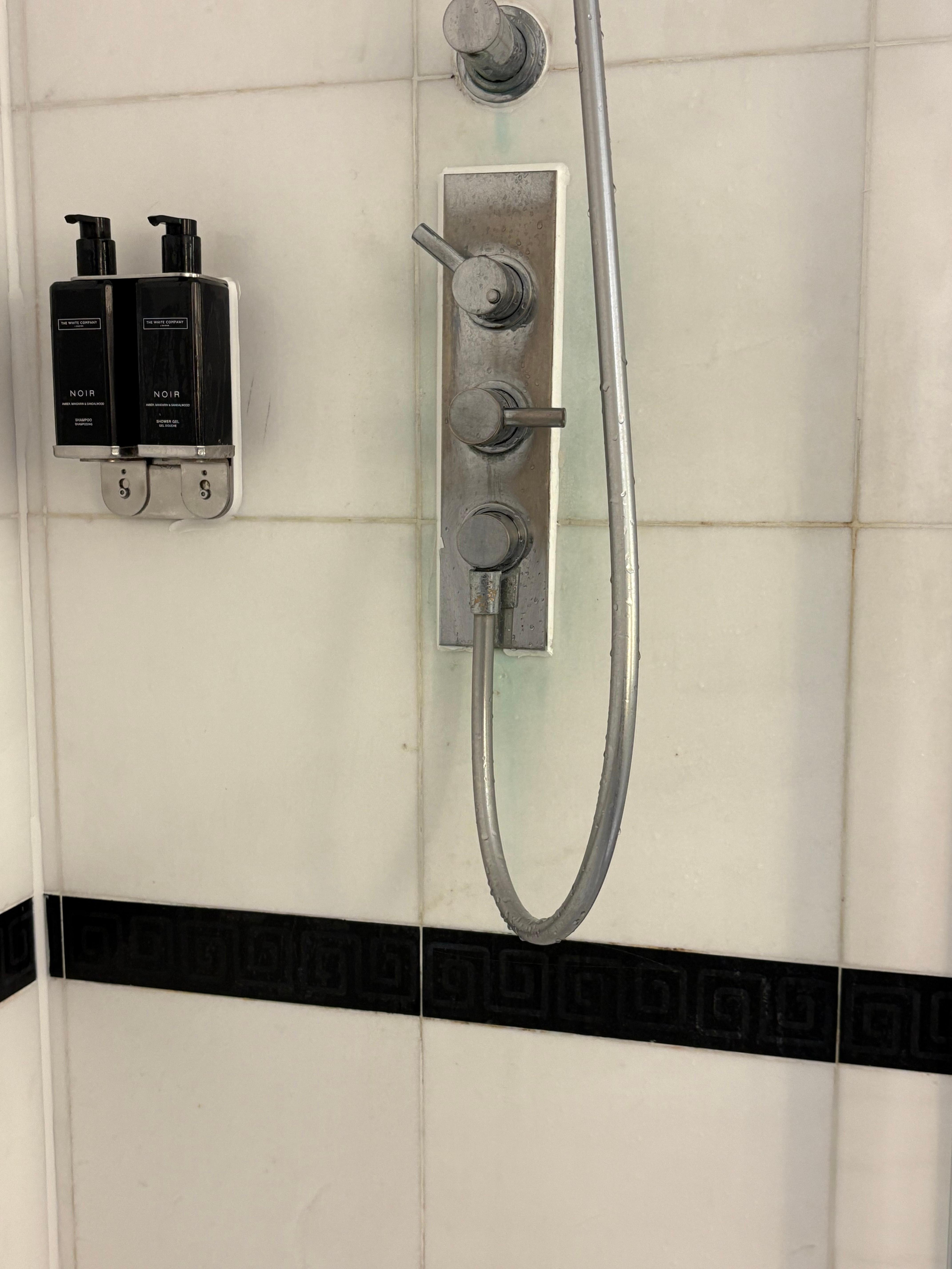 Green stain or mold in shower